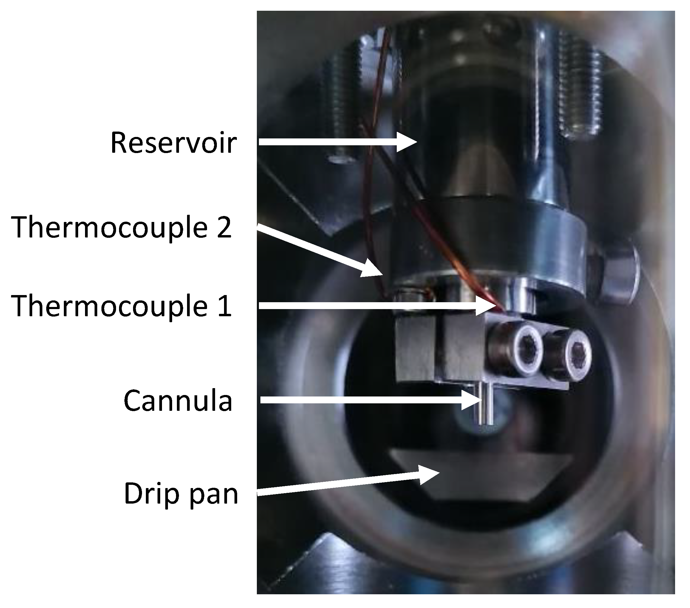 Ijms 23 13158 g004 Ijms 23 13158 g004