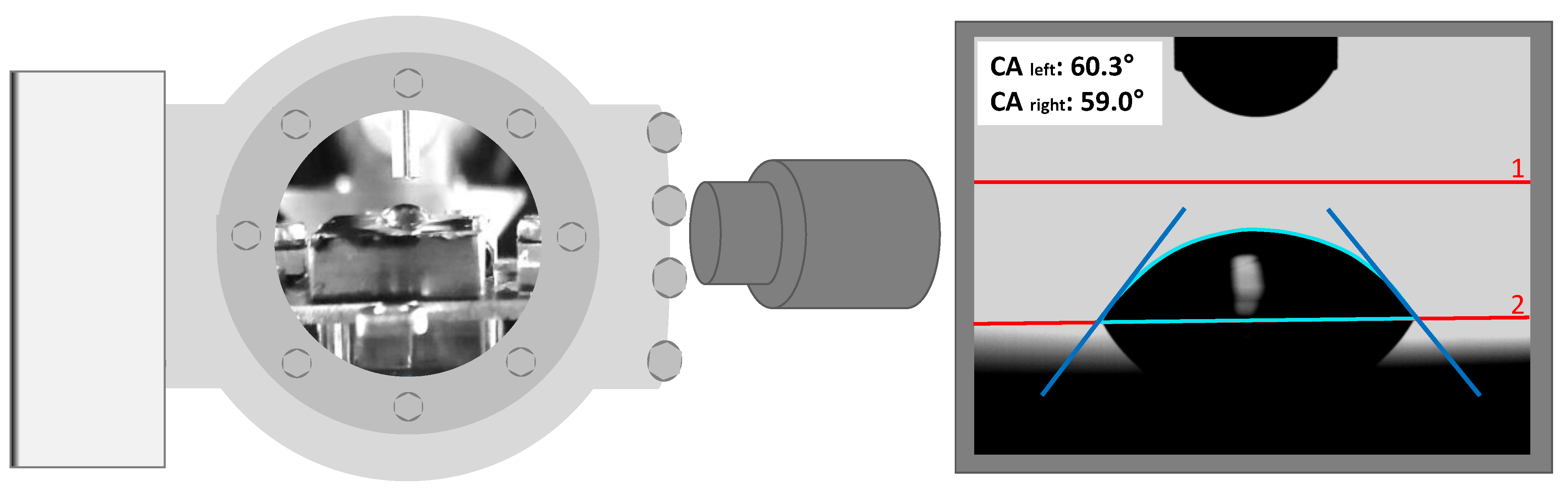 Ijms 23 13158 g006 Ijms 23 13158 g006