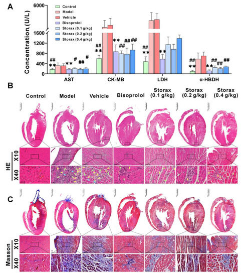 Storax Attenuates Cardiac Fibrosis following Acute