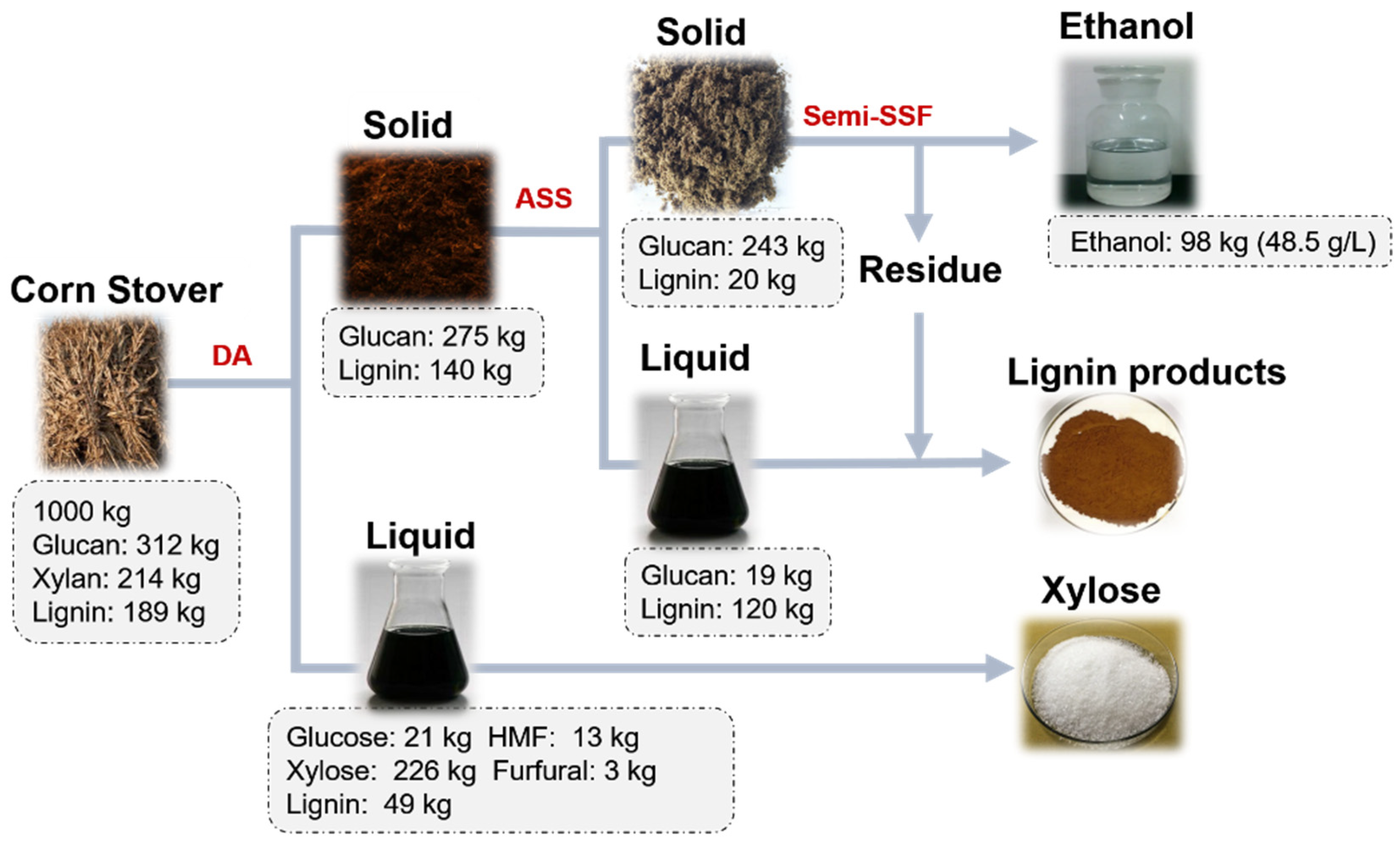 IJMS Free FullText Pretreatment Strategies to Enhance Enzymatic