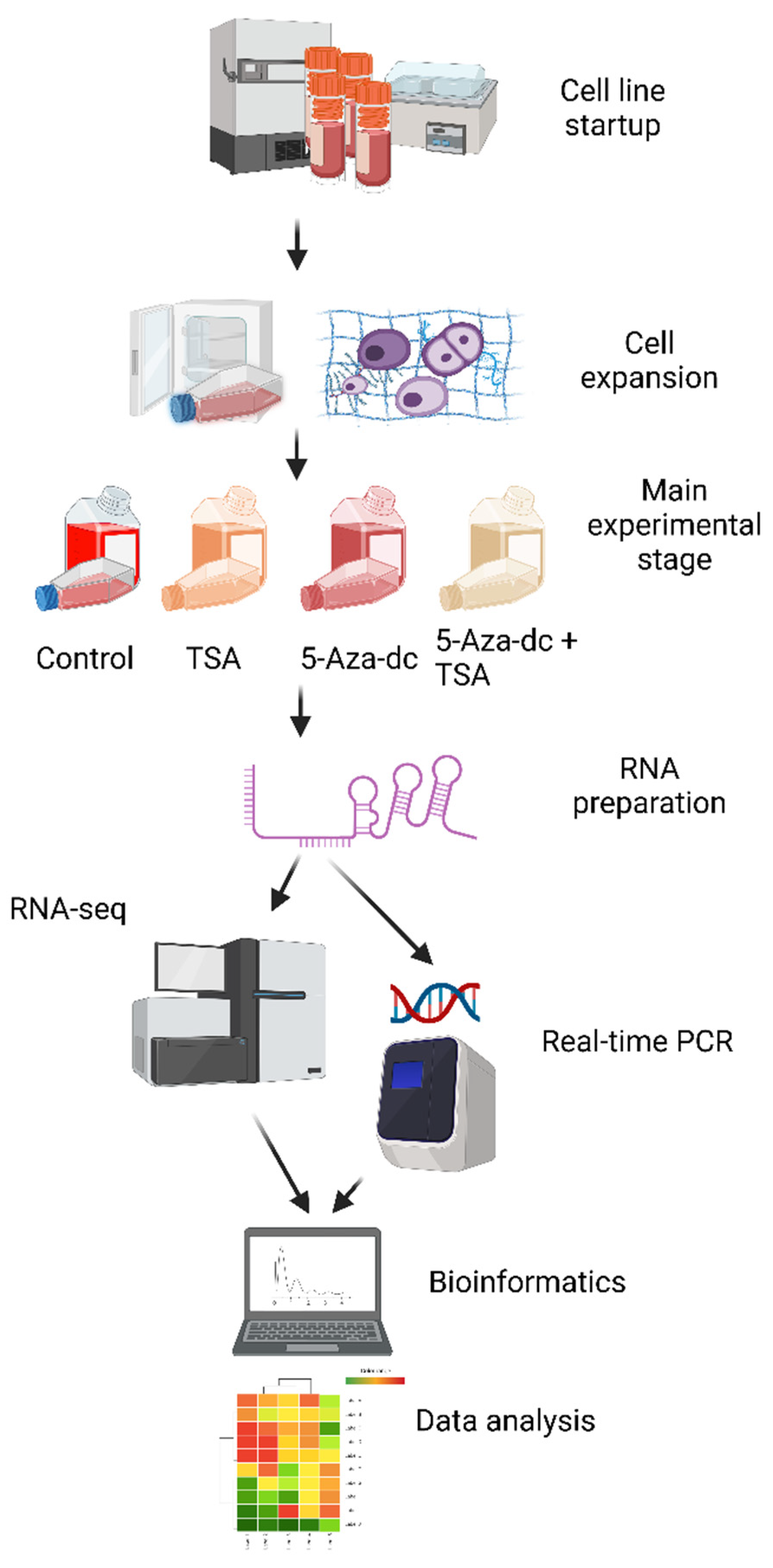 Ijms 23 13168 g004 Ijms 23 13168 g004
