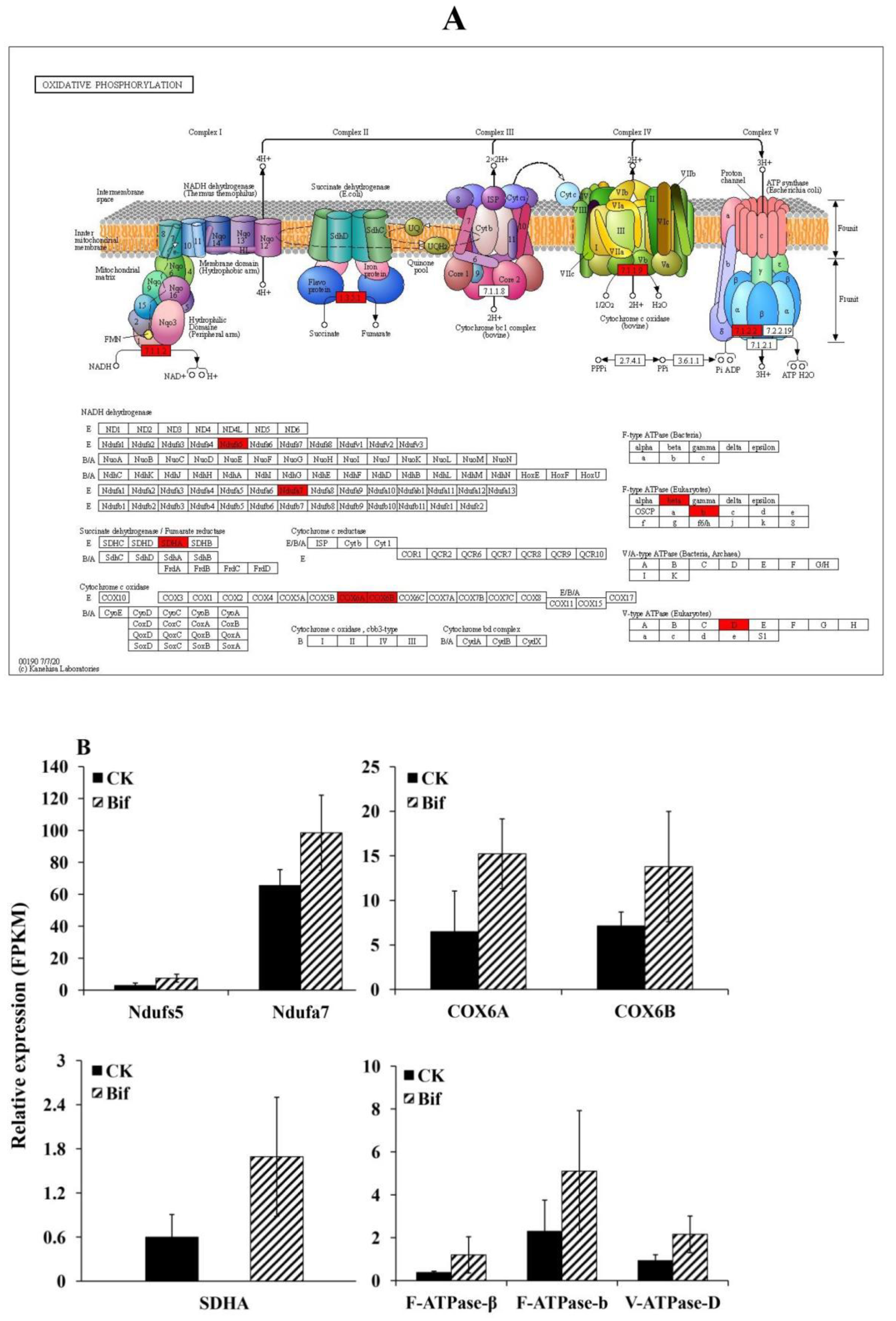 Transcriptome Analysis to Identify Responsive Genes under