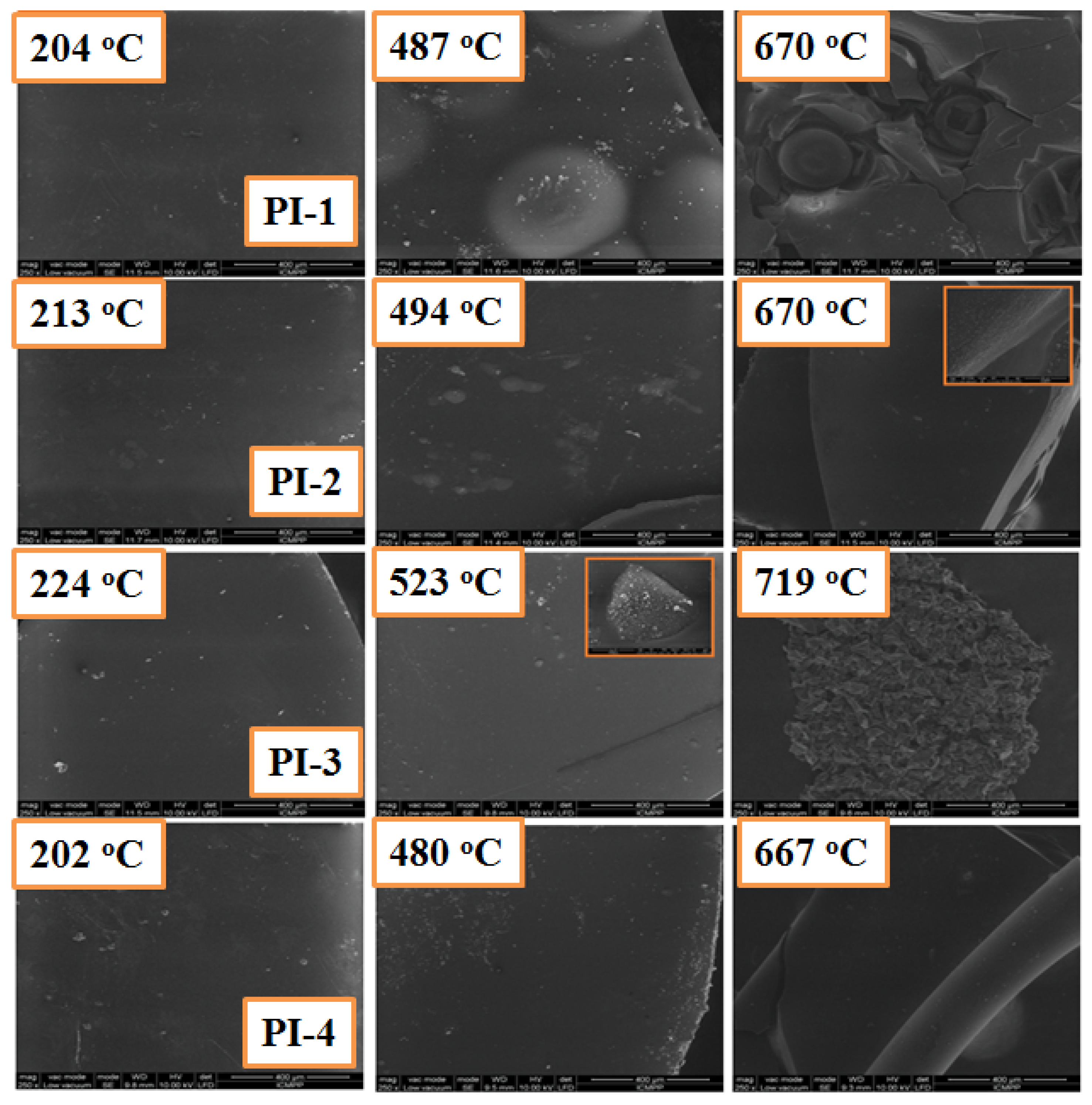 Ijms 23 13174 g008 Ijms 23 13174 g008