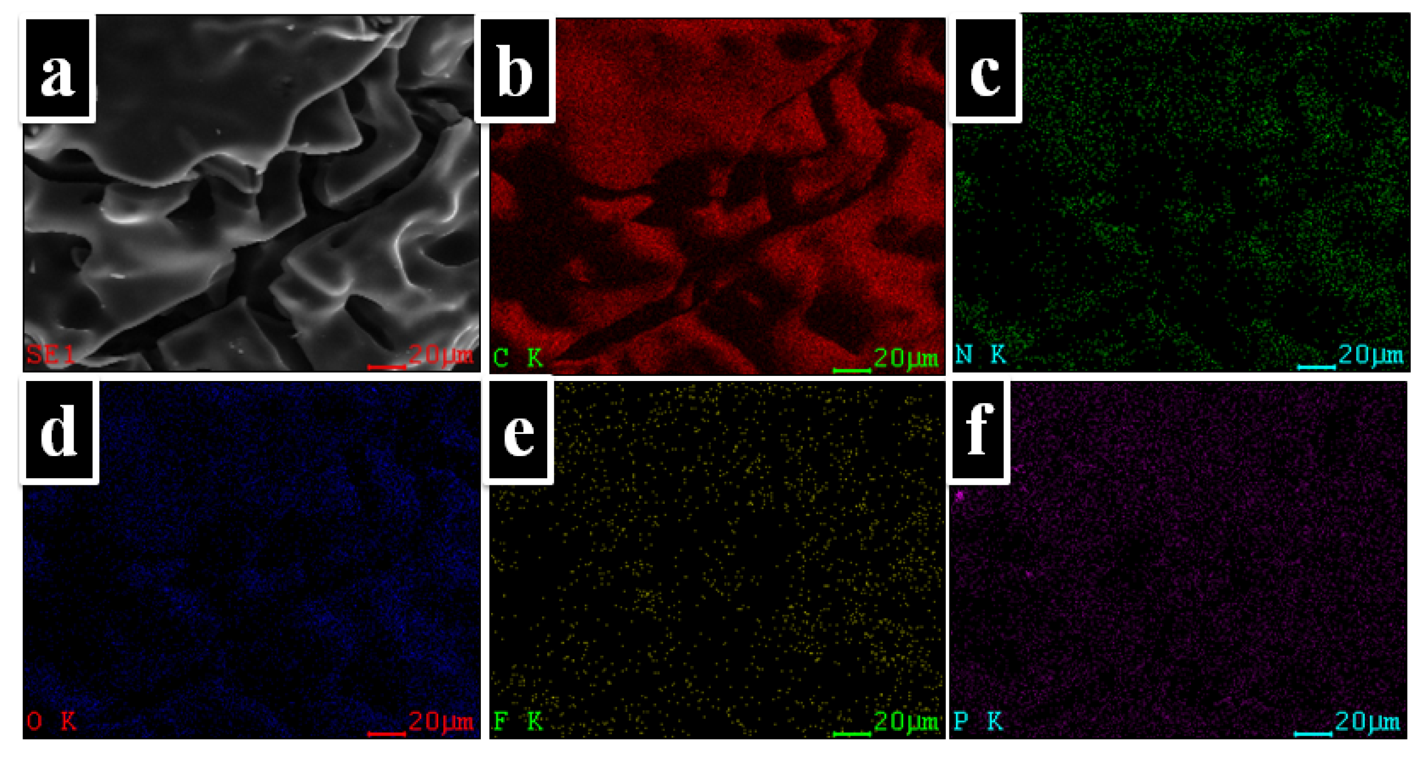 Ijms 23 13174 g009 Ijms 23 13174 g009