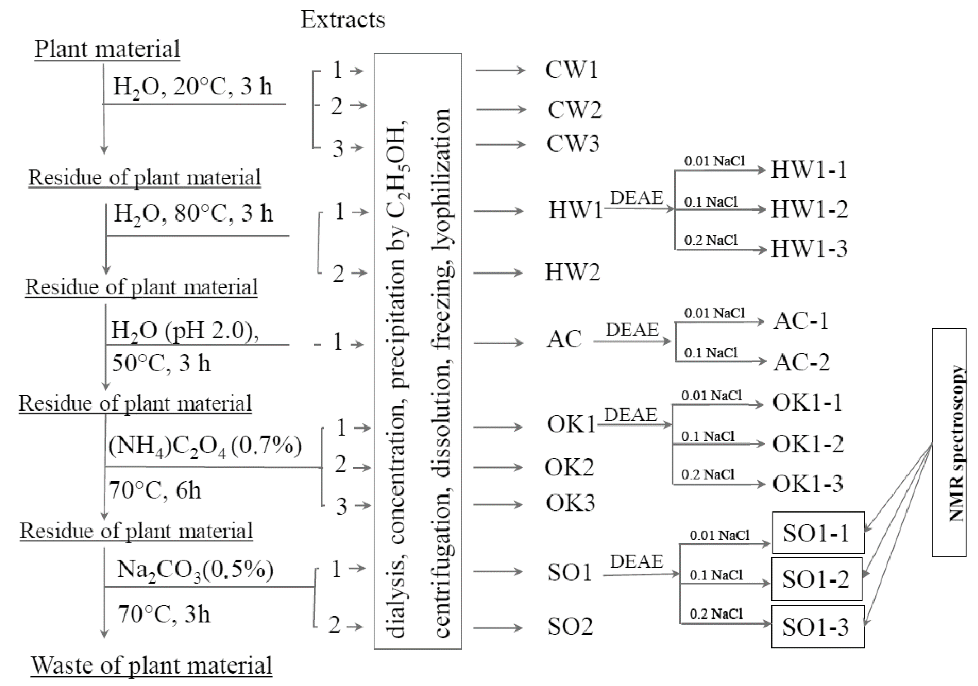 Ijms 23 13175 g001 Ijms 23 13175 g001