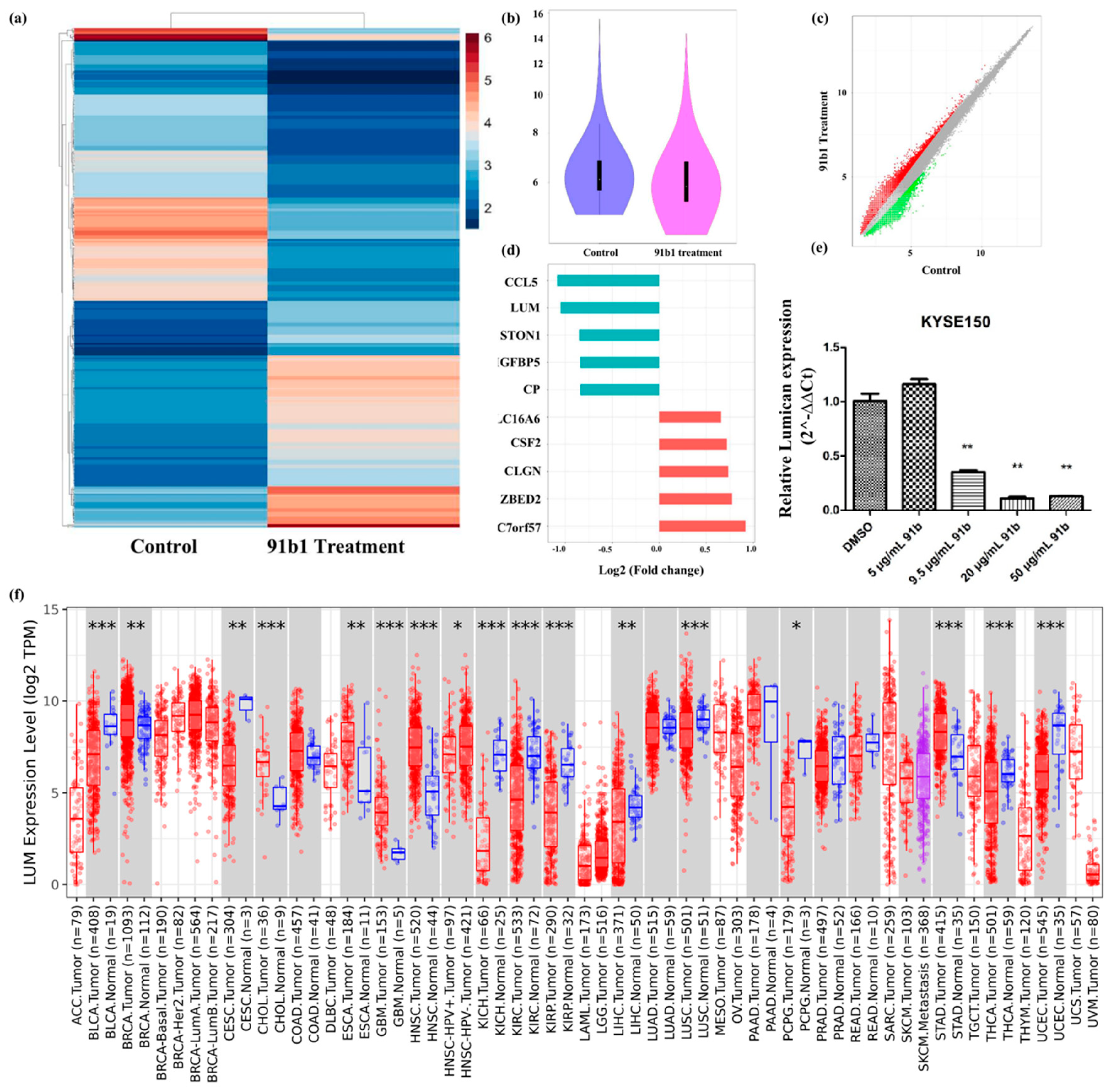 Ijms 23 13181 g003 Ijms 23 13181 g003