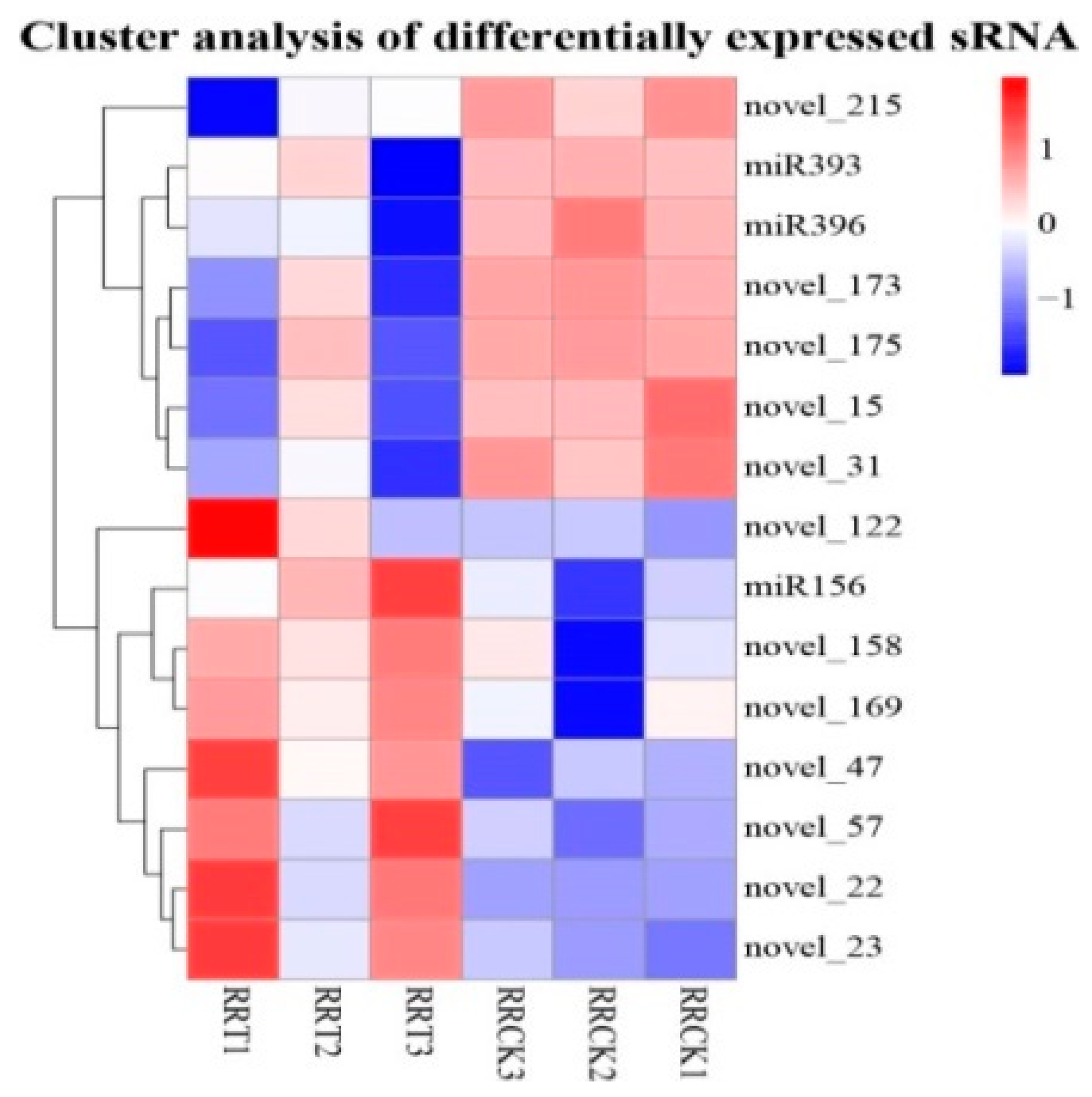 Ijms 23 13187 g001 Ijms 23 13187 g001