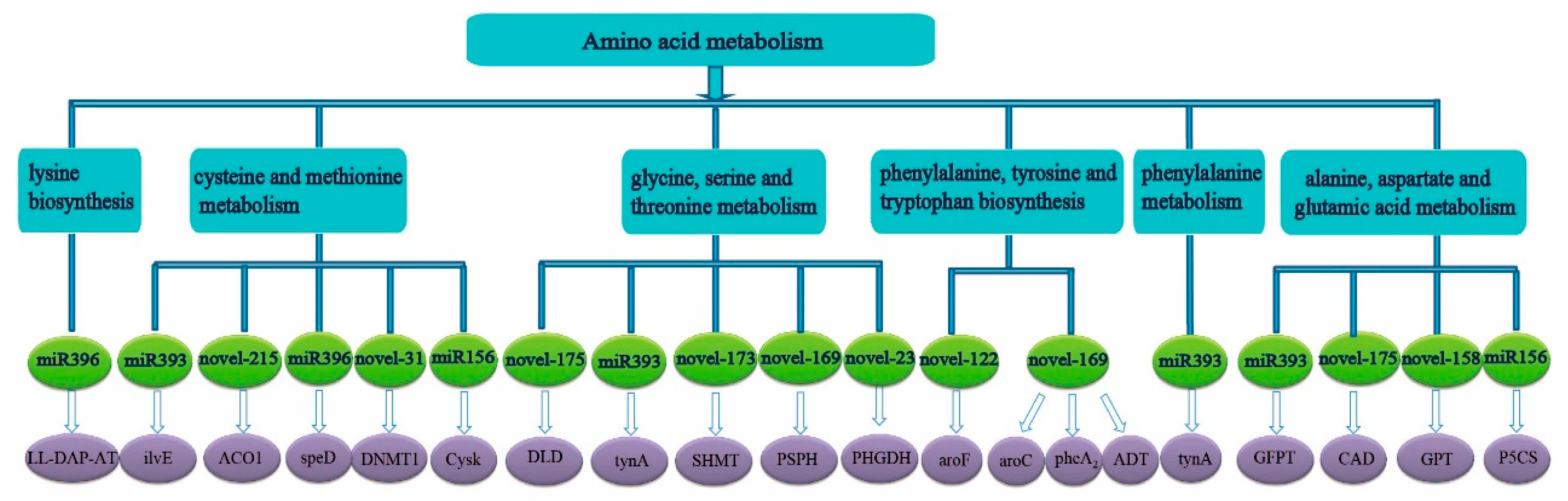 Ijms 23 13187 g003 Ijms 23 13187 g003