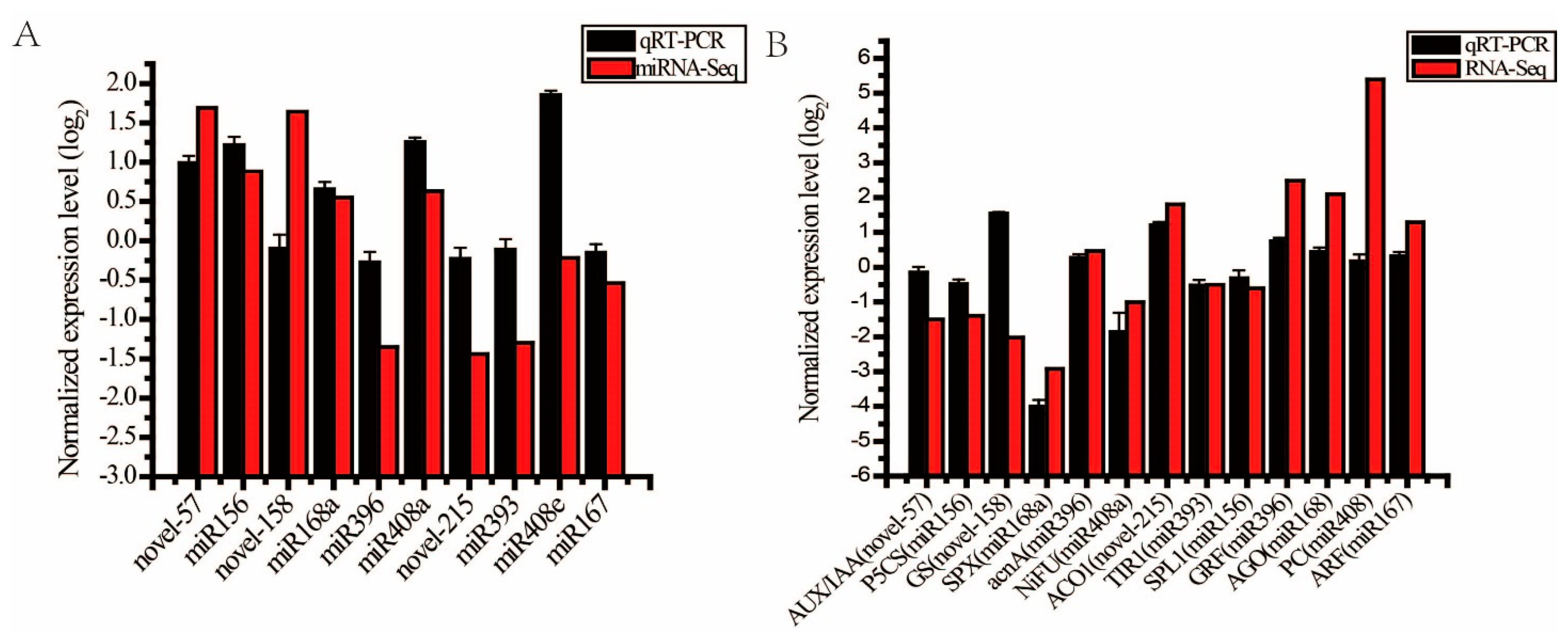 Ijms 23 13187 g005 Ijms 23 13187 g005