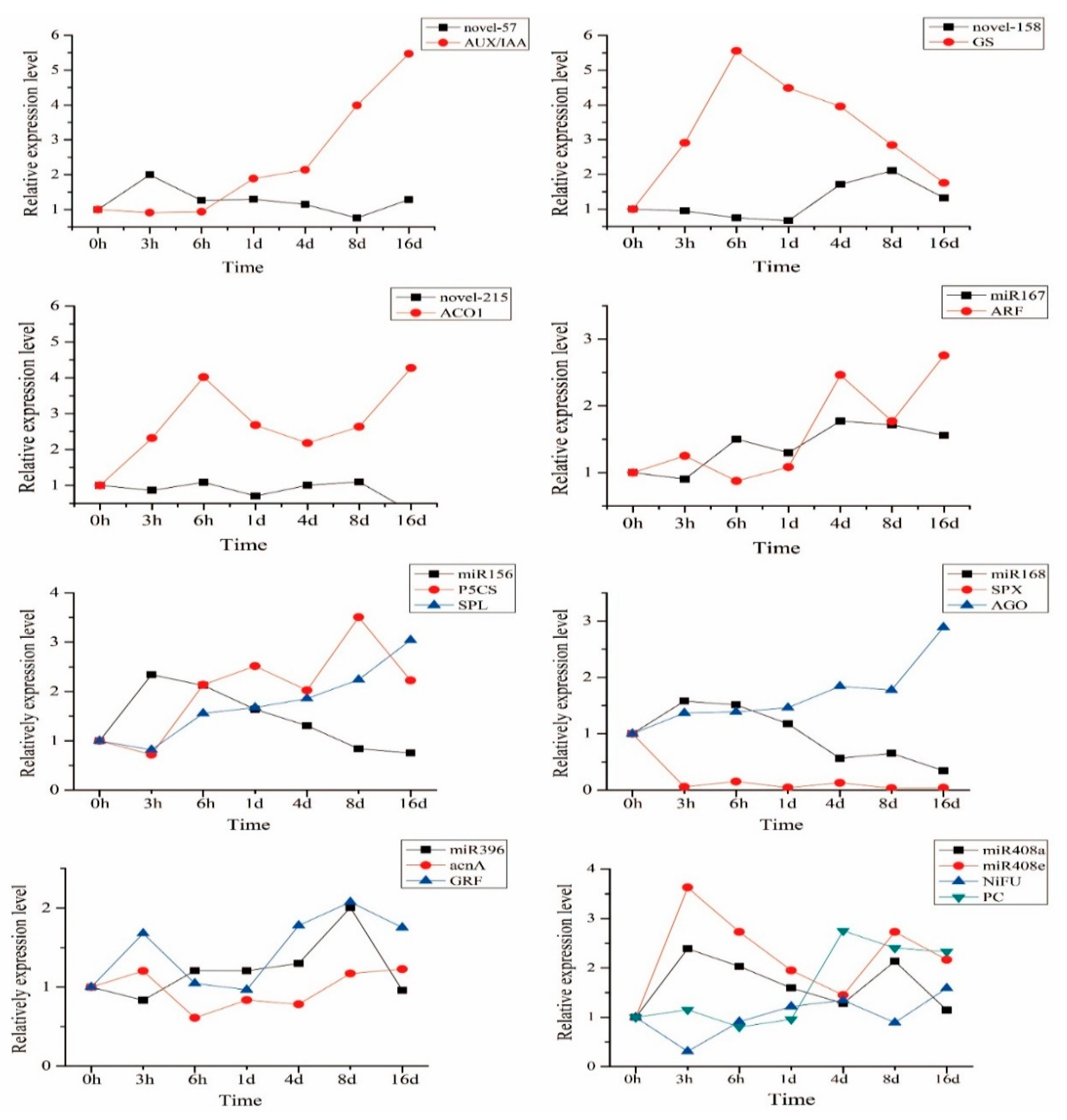 Ijms 23 13187 g006 Ijms 23 13187 g006