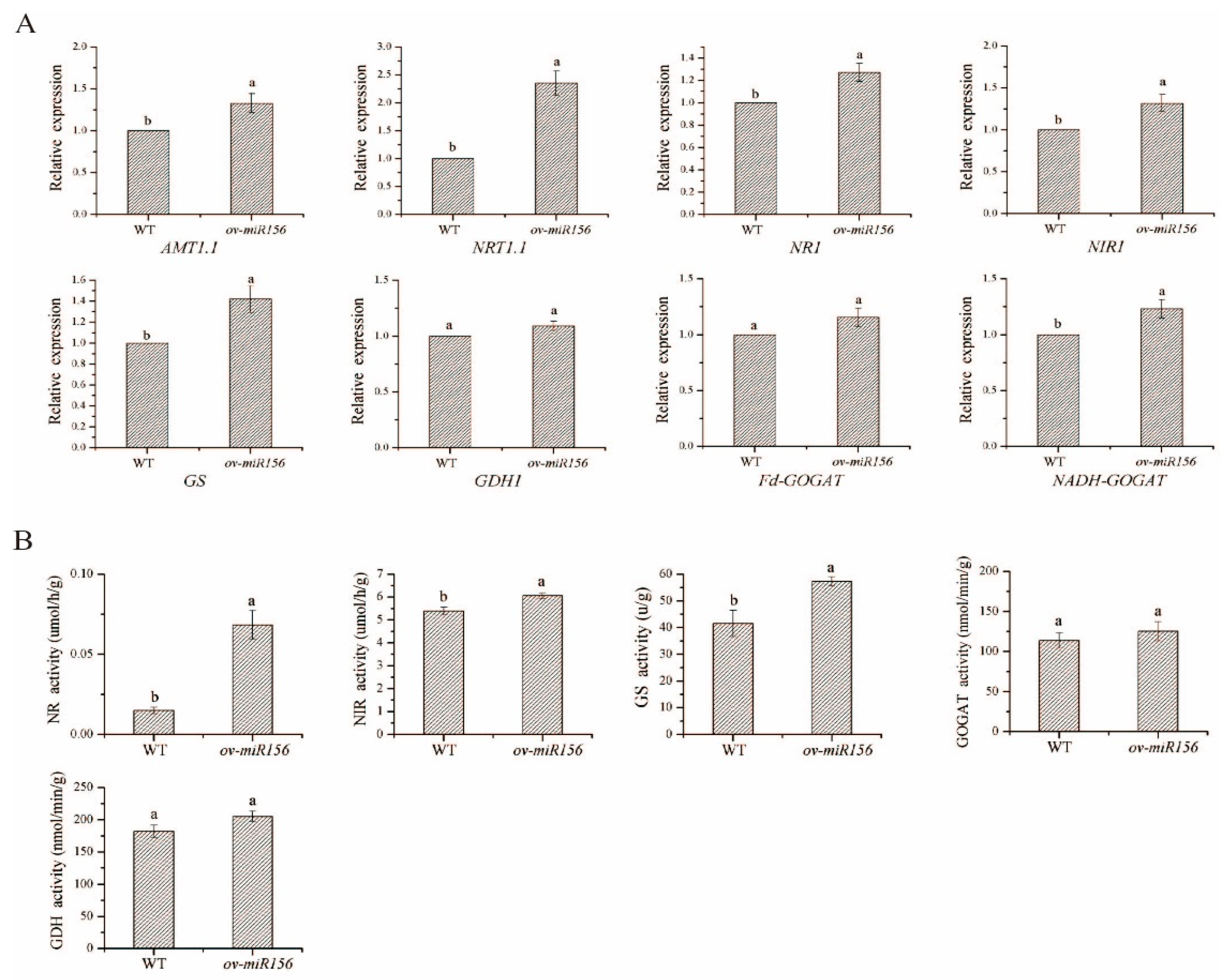 Ijms 23 13187 g008 Ijms 23 13187 g008
