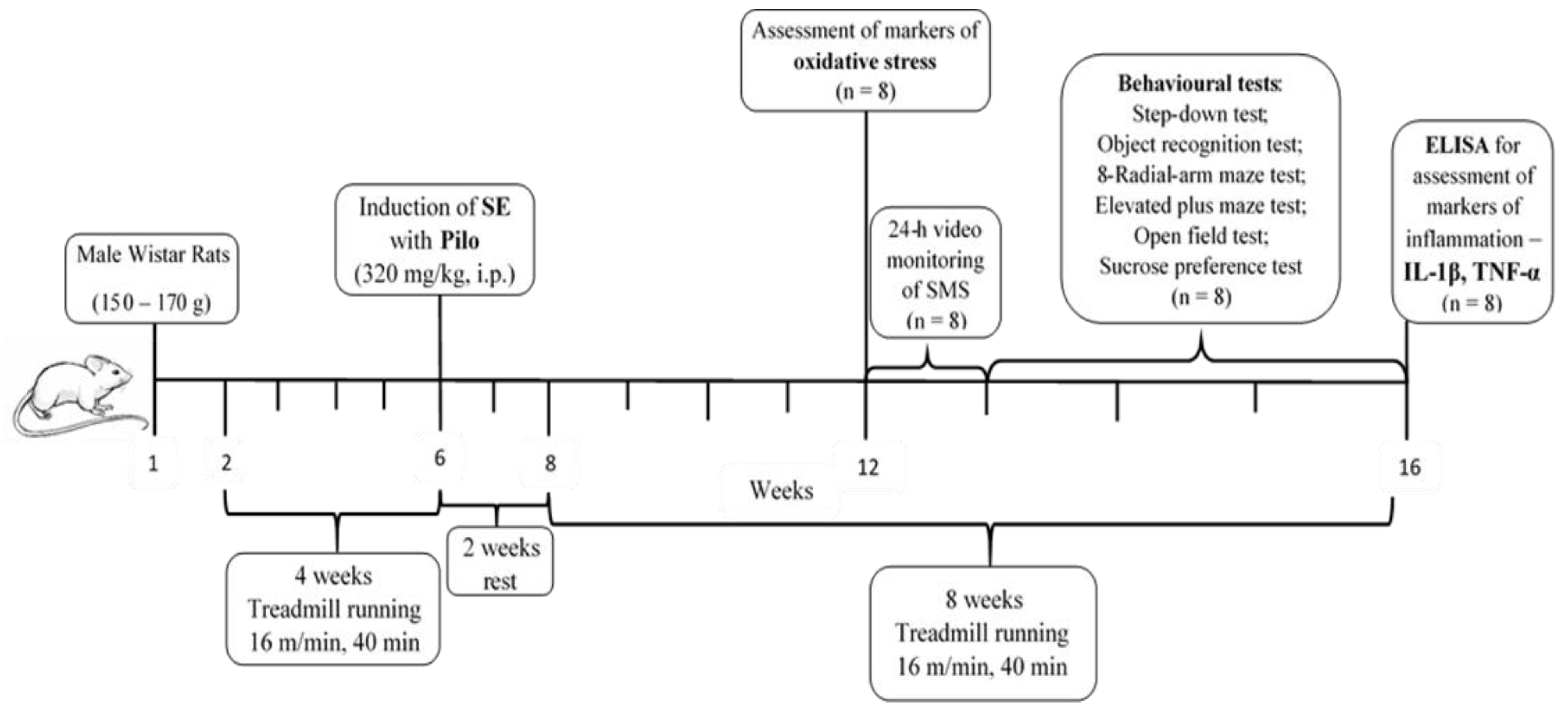 Ijms 23 13188 g010 Ijms 23 13188 g010