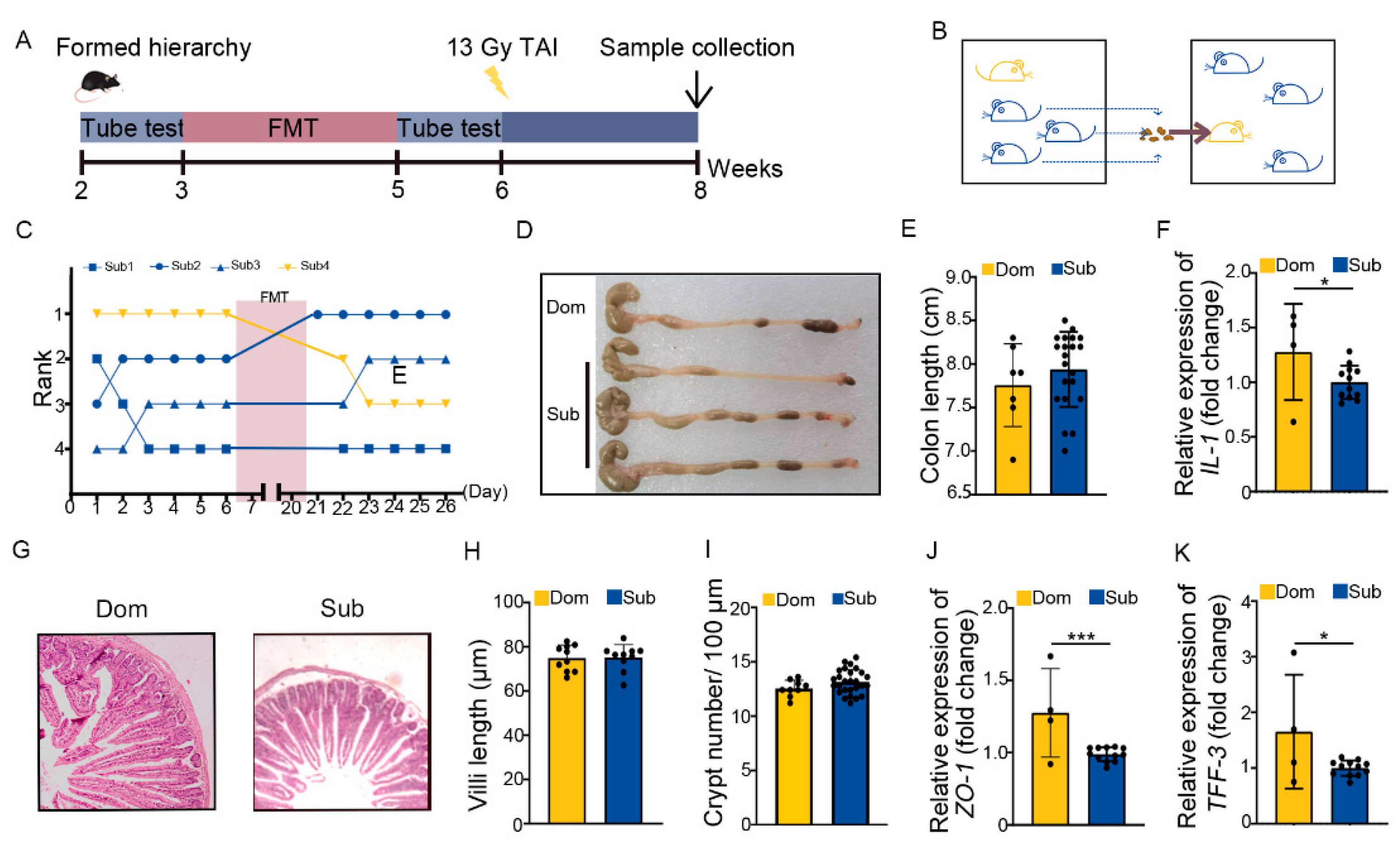 Ijms 23 13189 g004 Ijms 23 13189 g004