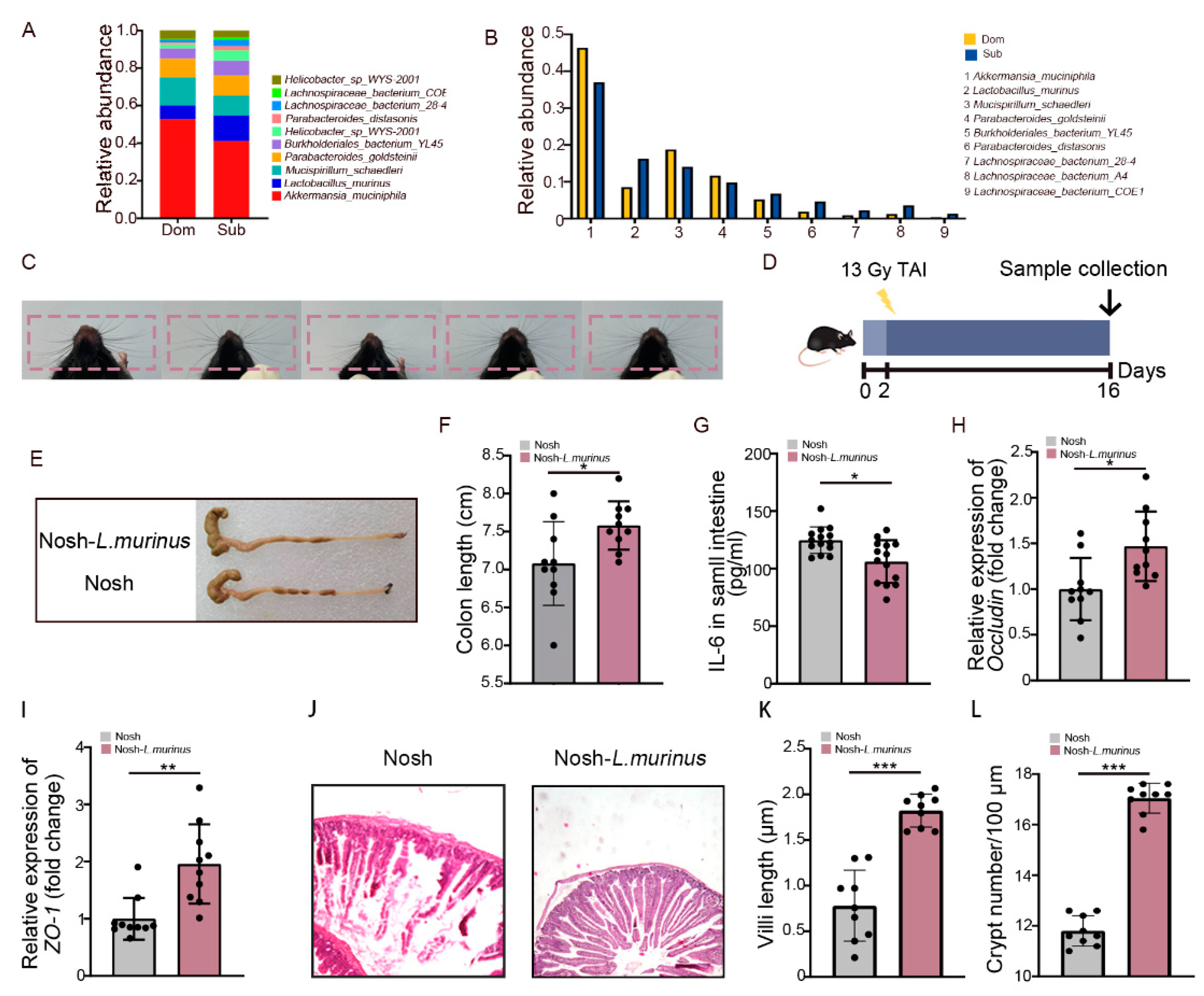 Ijms 23 13189 g005 Ijms 23 13189 g005
