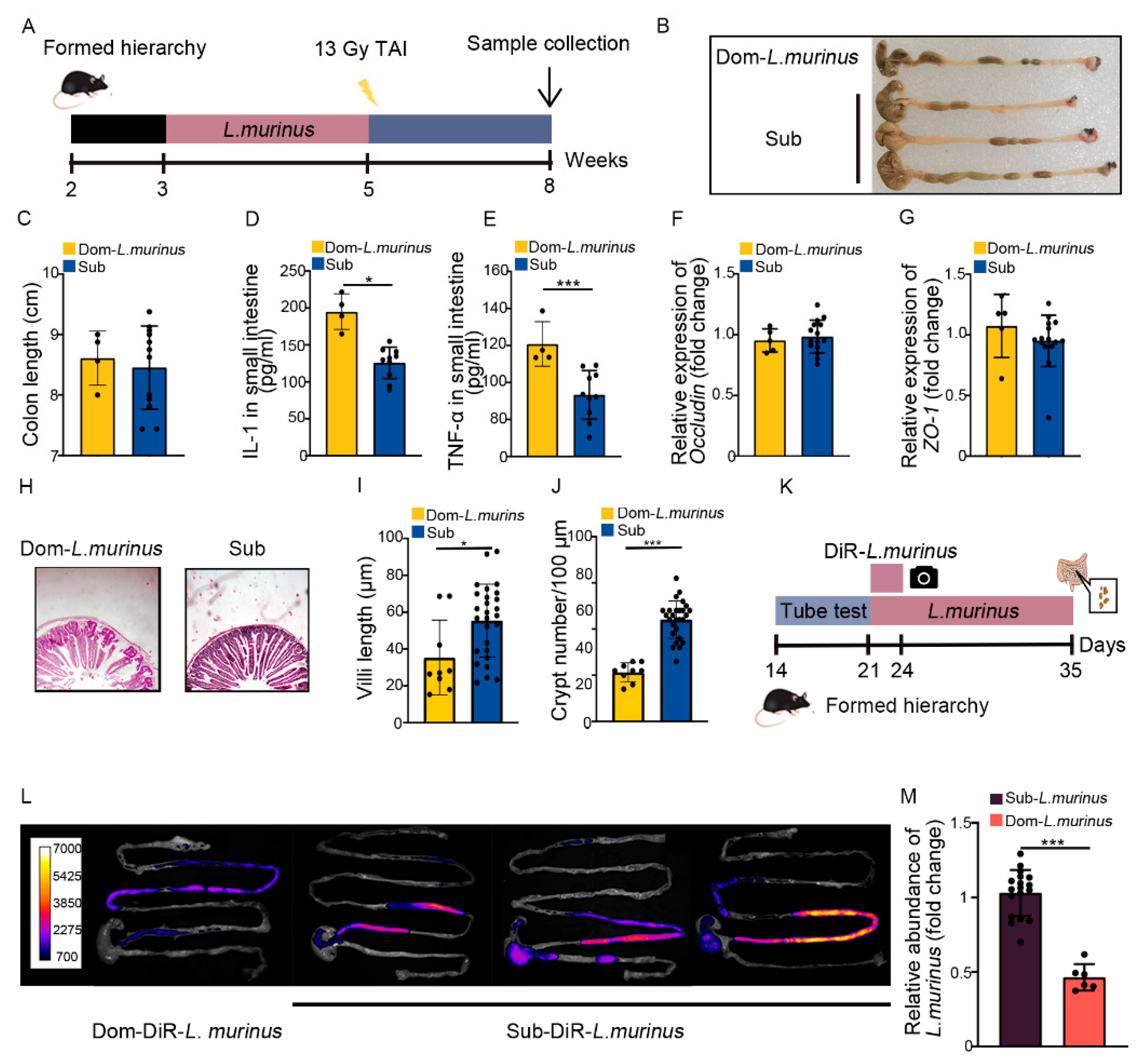 Ijms 23 13189 g006 Ijms 23 13189 g006