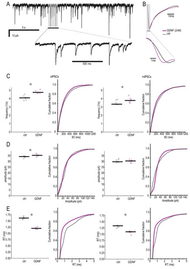 Location and distribution of inhibitory synapses differentially affect