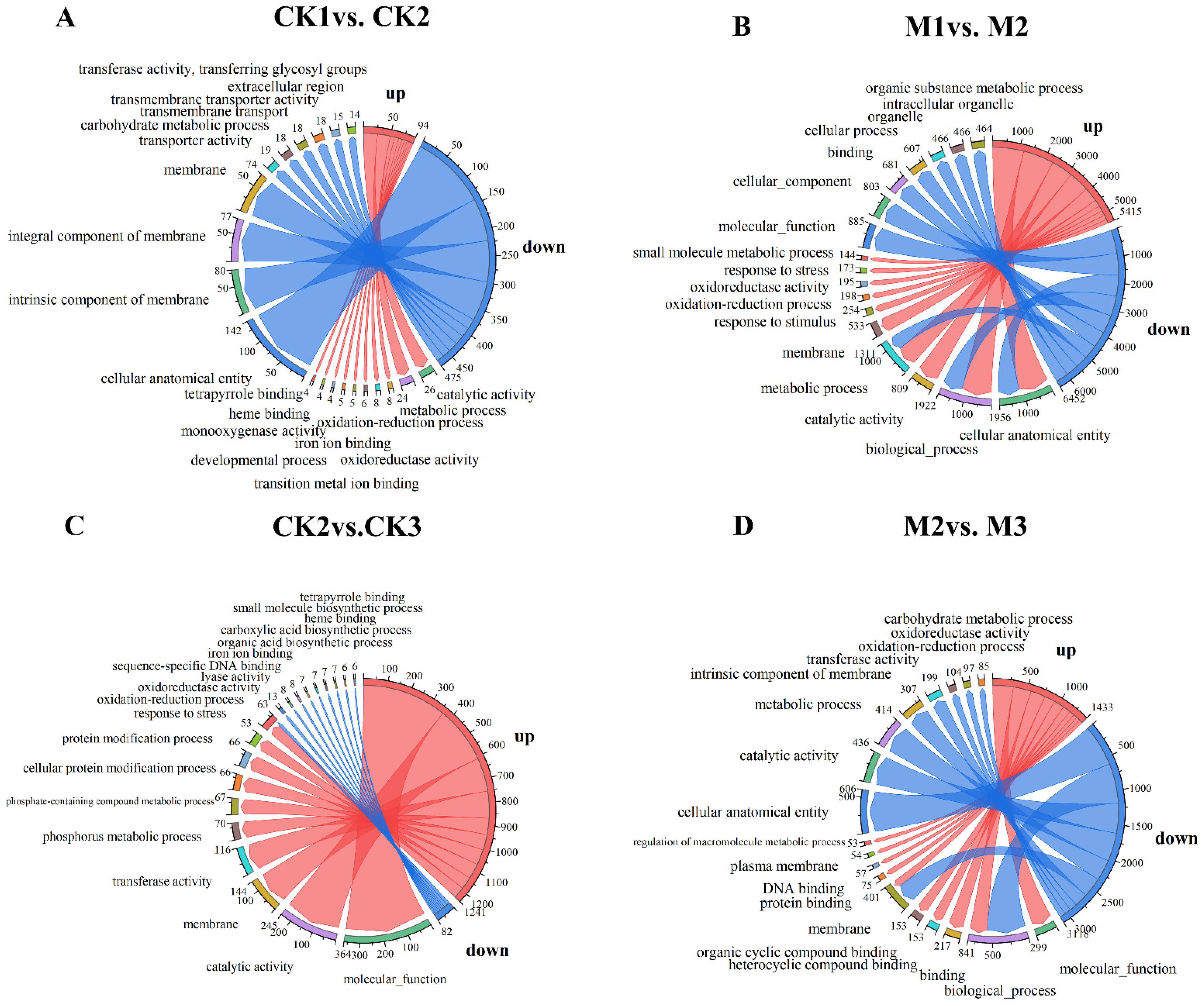 Ijms 23 13195 g002 Ijms 23 13195 g002