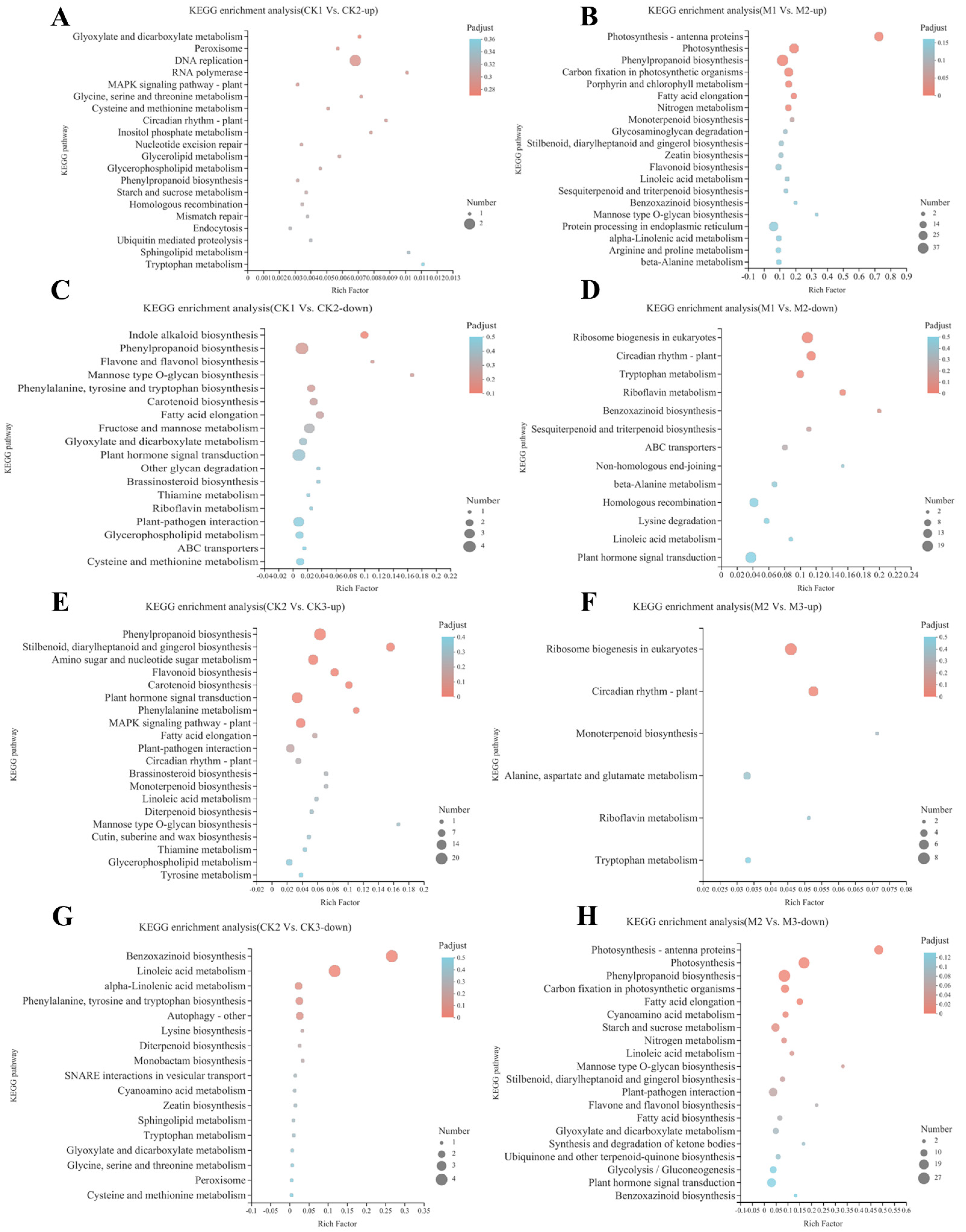 Ijms 23 13195 g003 Ijms 23 13195 g003