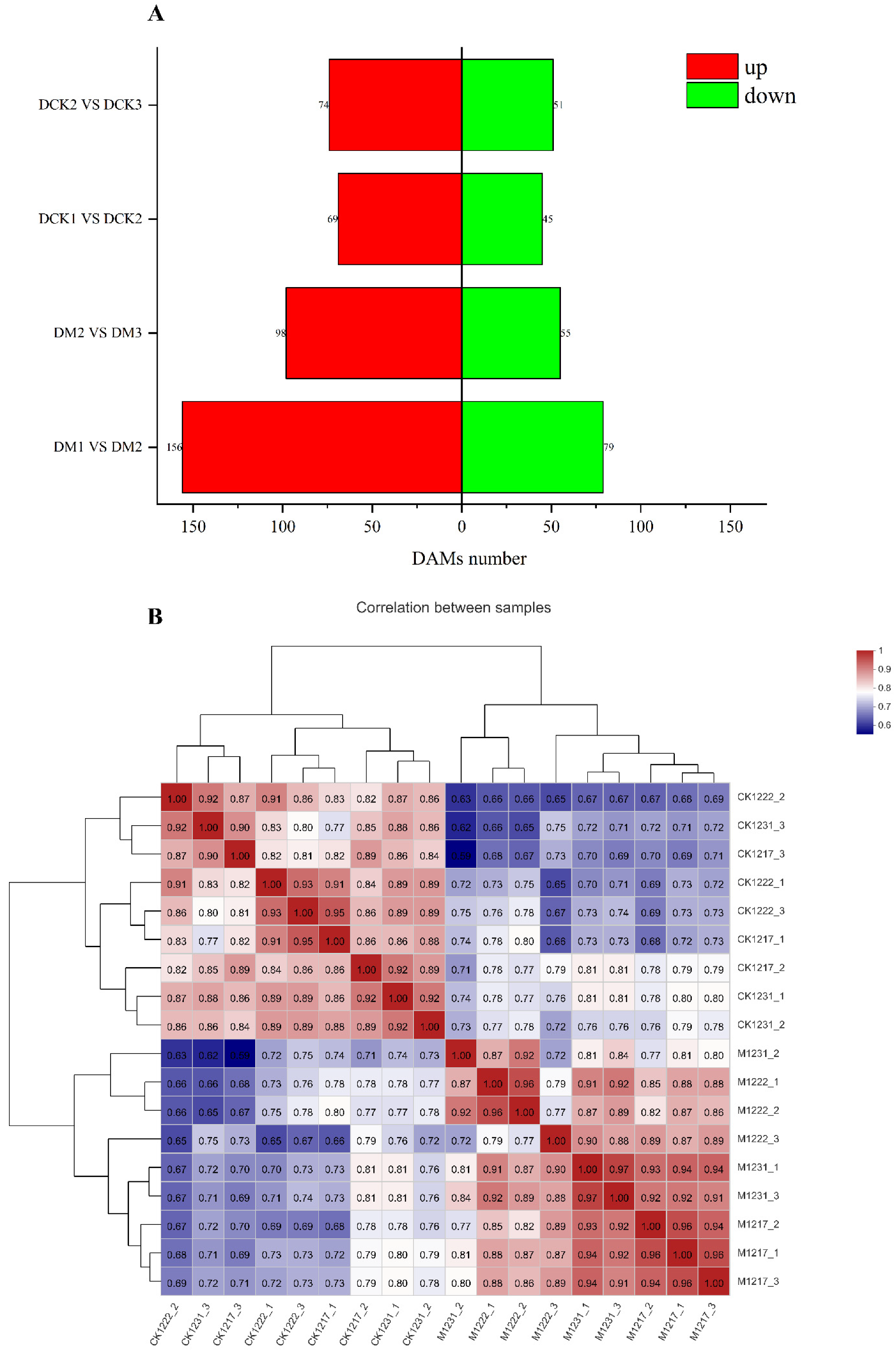 Ijms 23 13195 g004 Ijms 23 13195 g004
