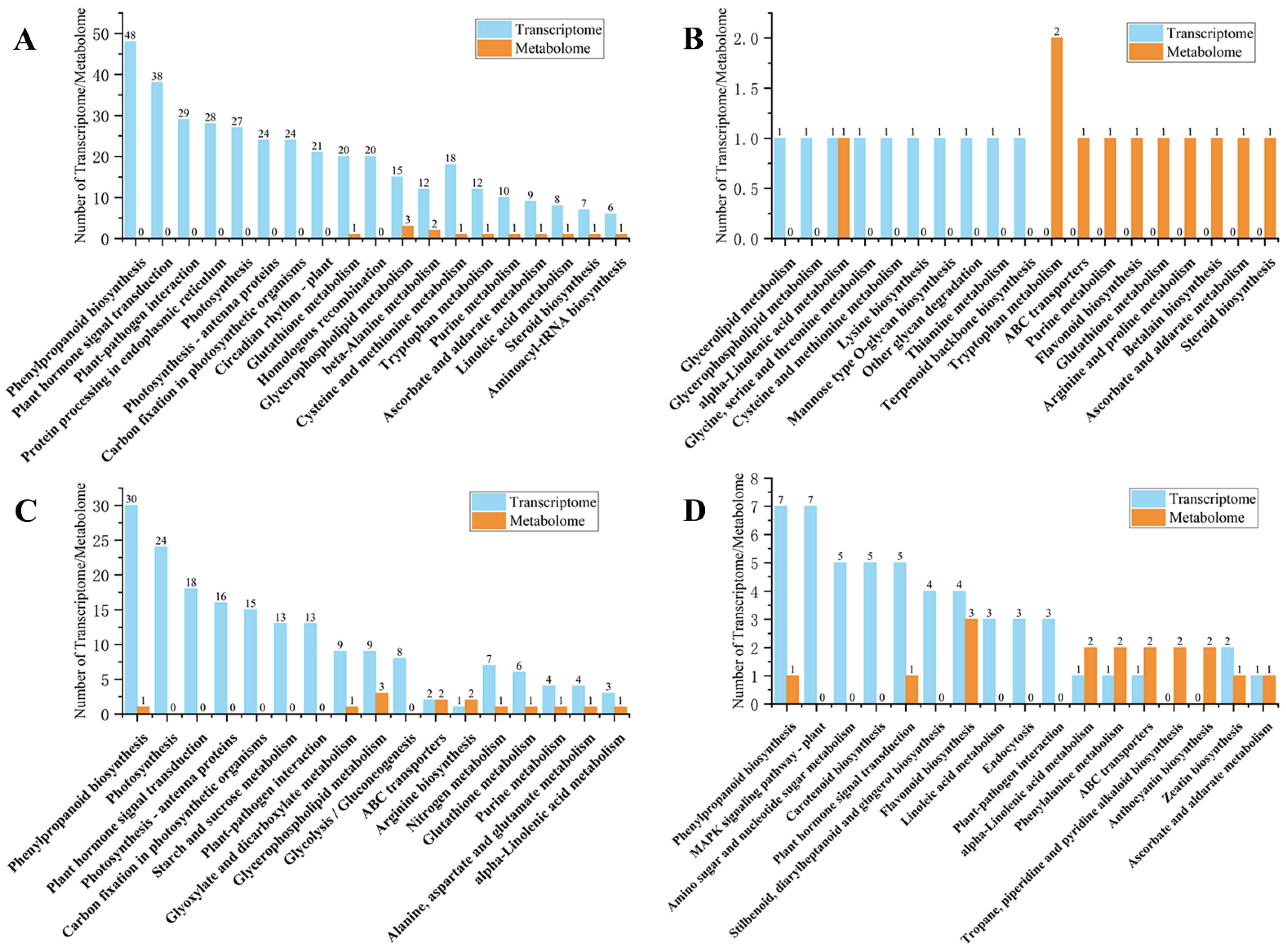 Ijms 23 13195 g005 Ijms 23 13195 g005