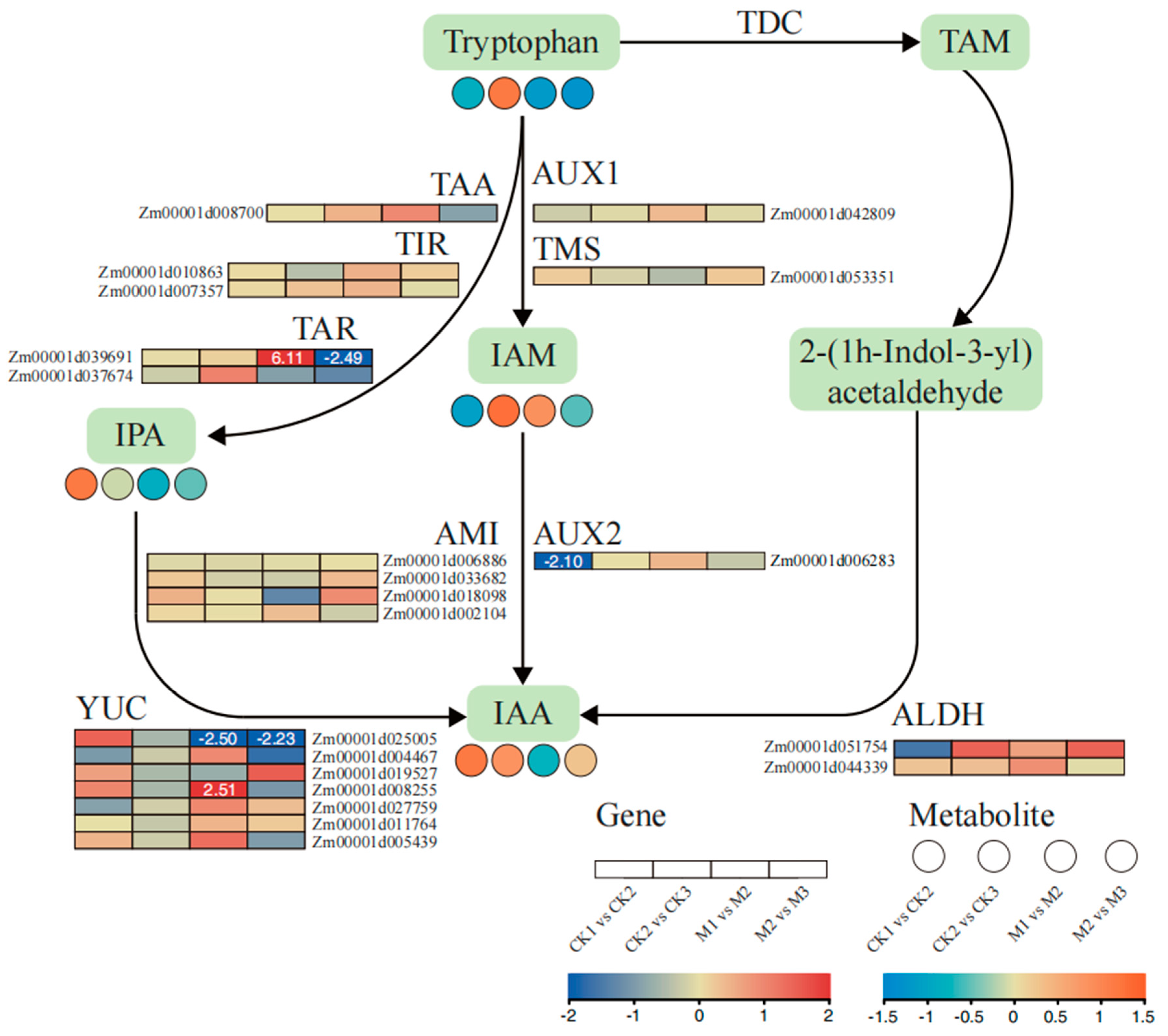 Ijms 23 13195 g006 Ijms 23 13195 g006