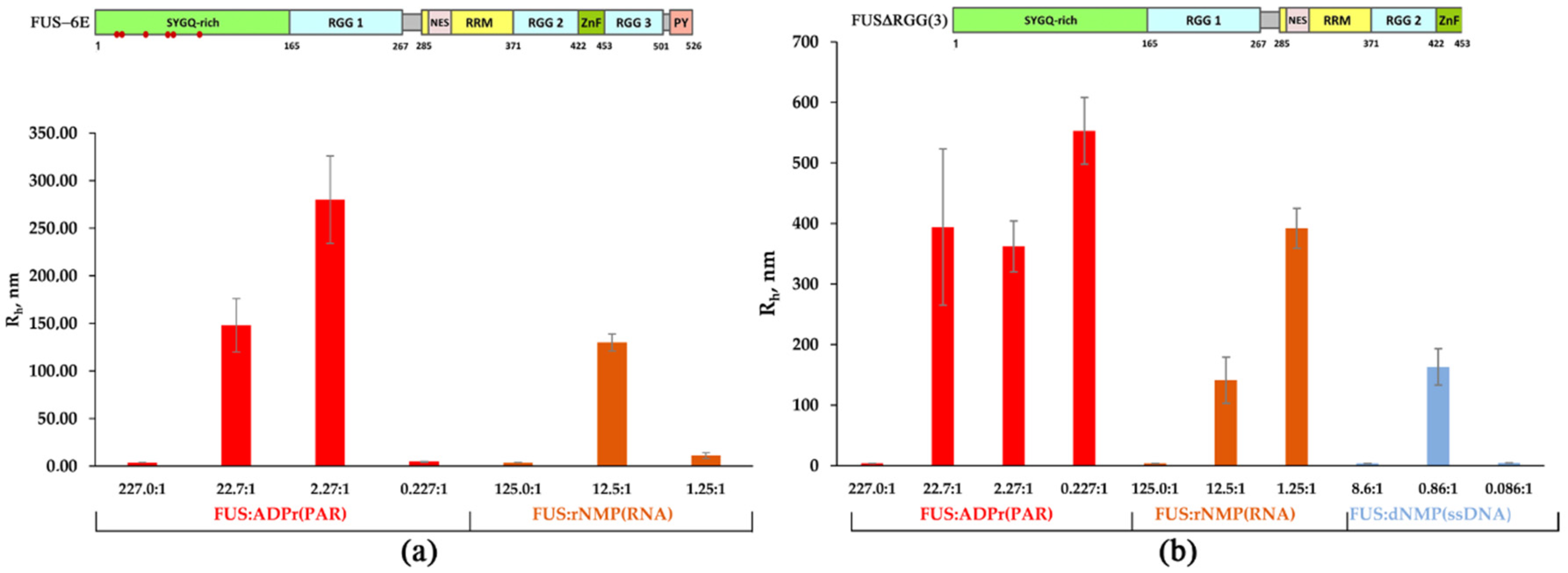 Ijms 23 13200 g003 Ijms 23 13200 g003