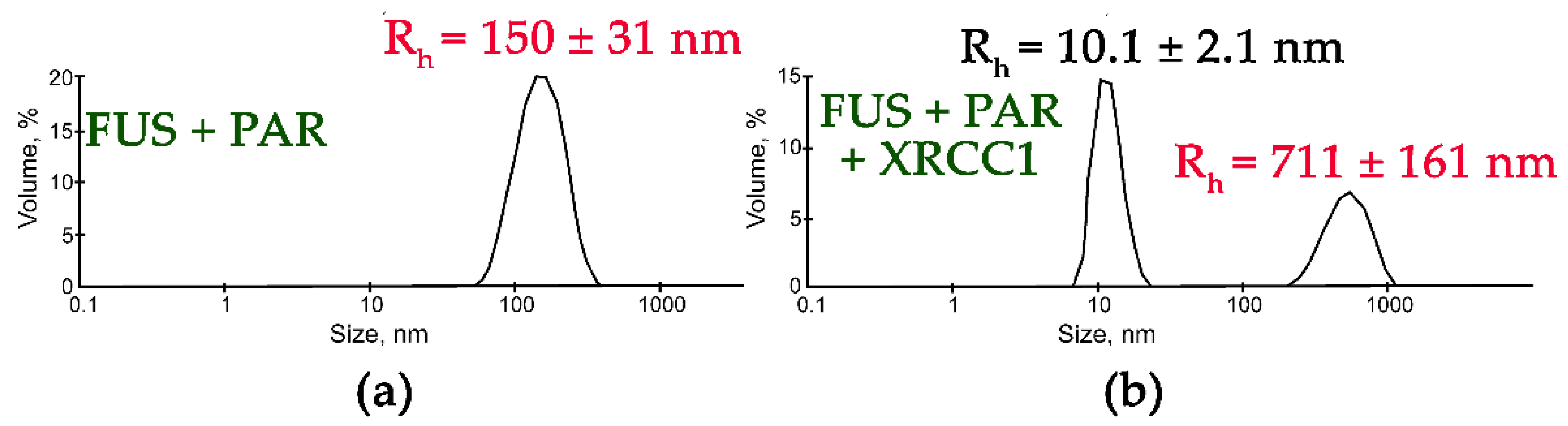 Ijms 23 13200 g006 Ijms 23 13200 g006