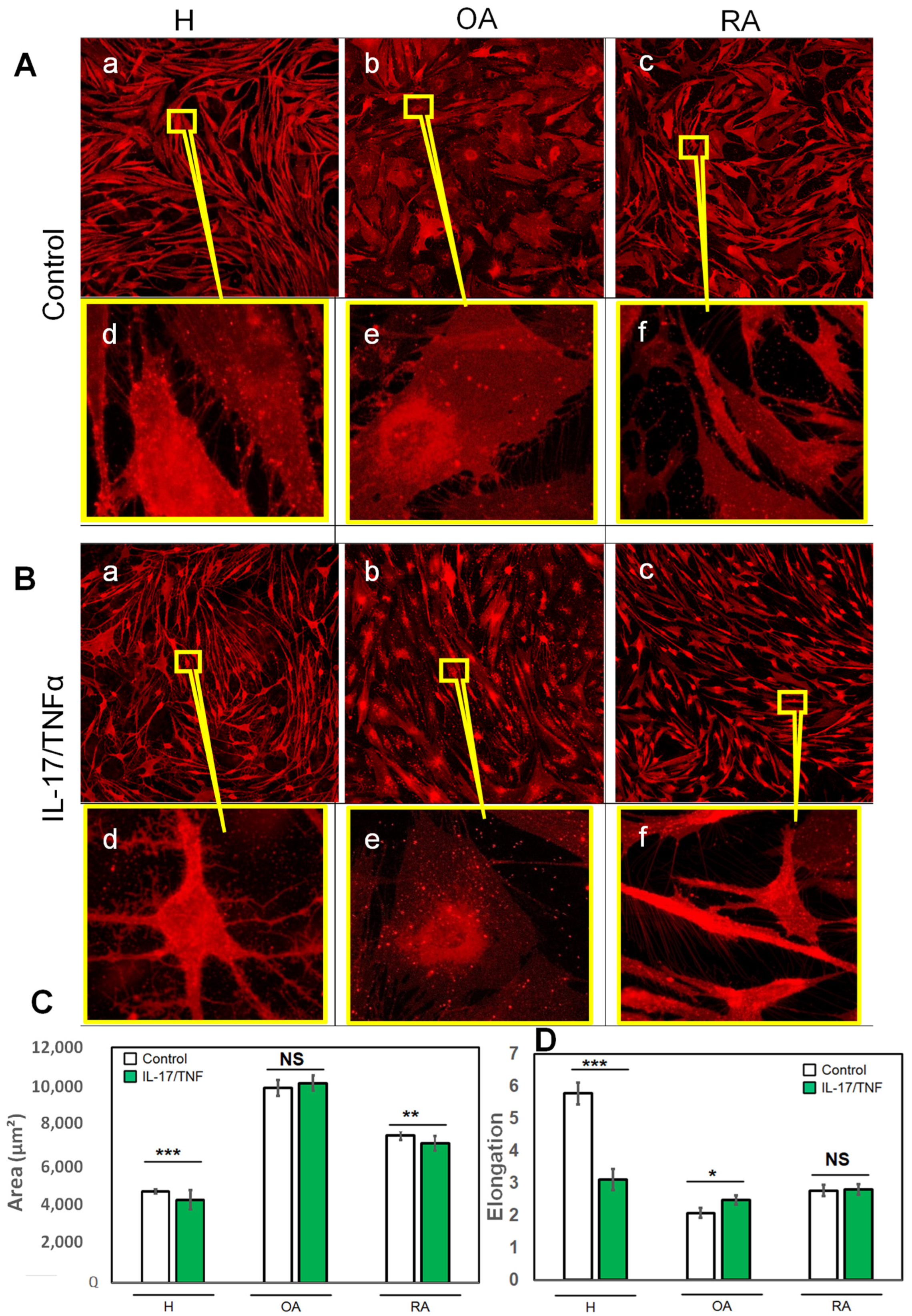 Ijms 23 13201 g002 Ijms 23 13201 g002