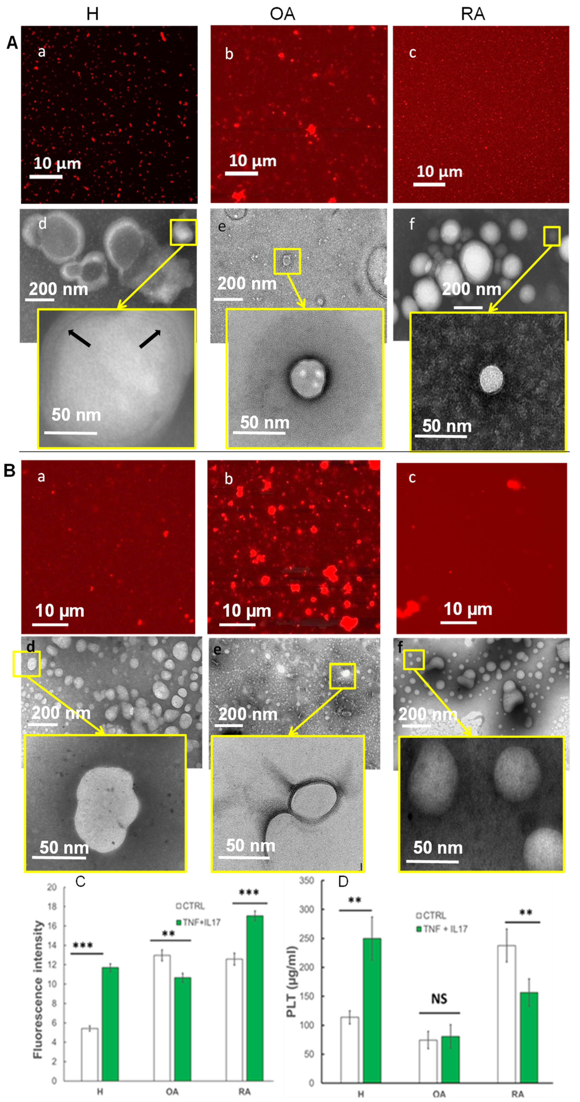 Ijms 23 13201 g003 Ijms 23 13201 g003