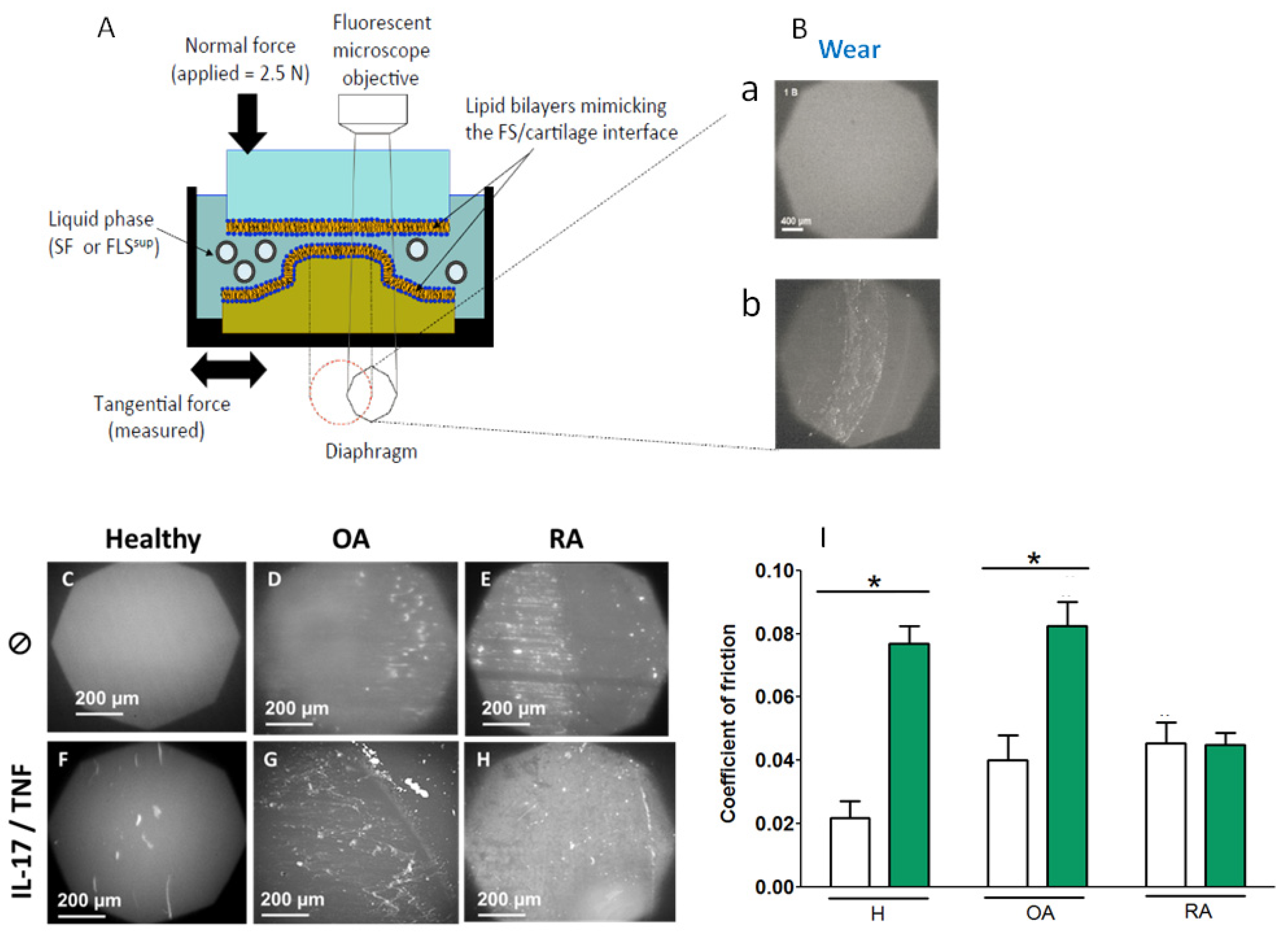 Ijms 23 13201 g004 Ijms 23 13201 g004