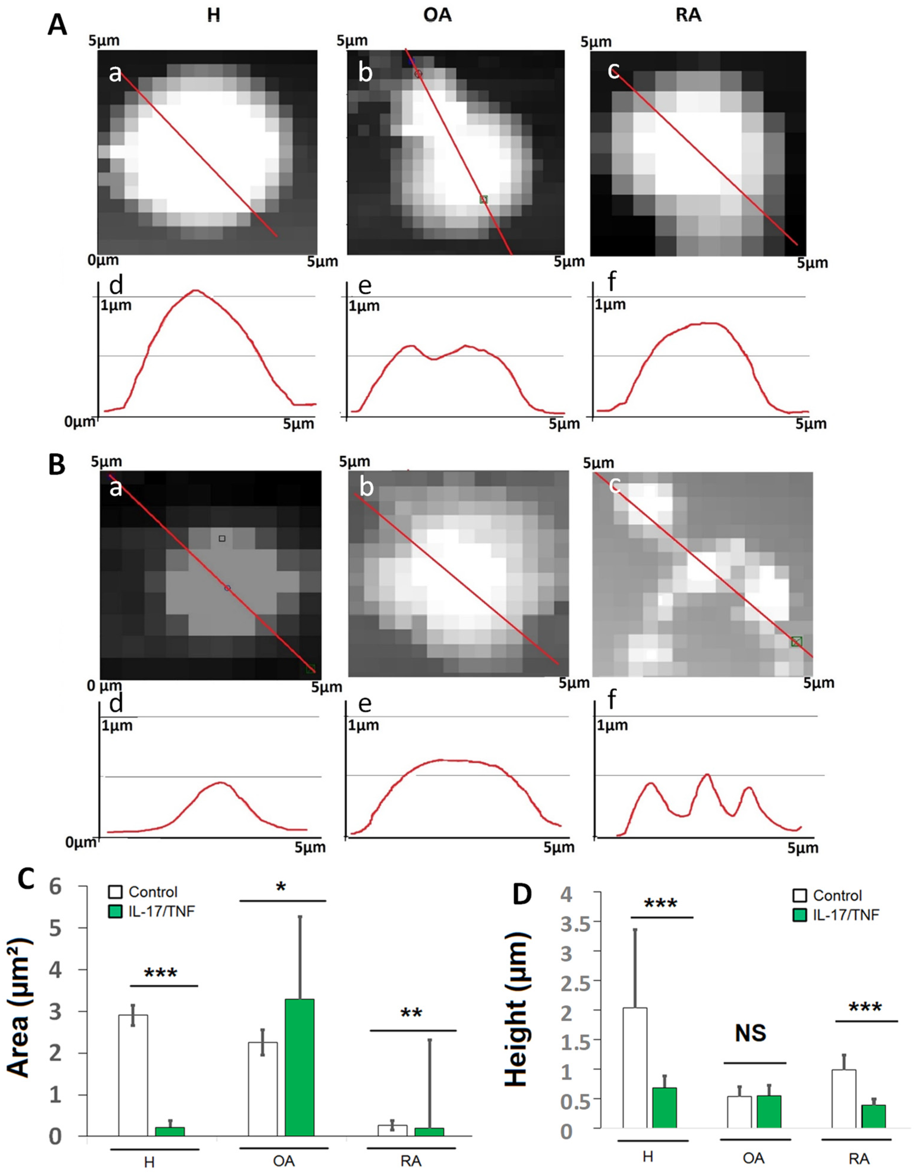 Ijms 23 13201 g005 Ijms 23 13201 g005