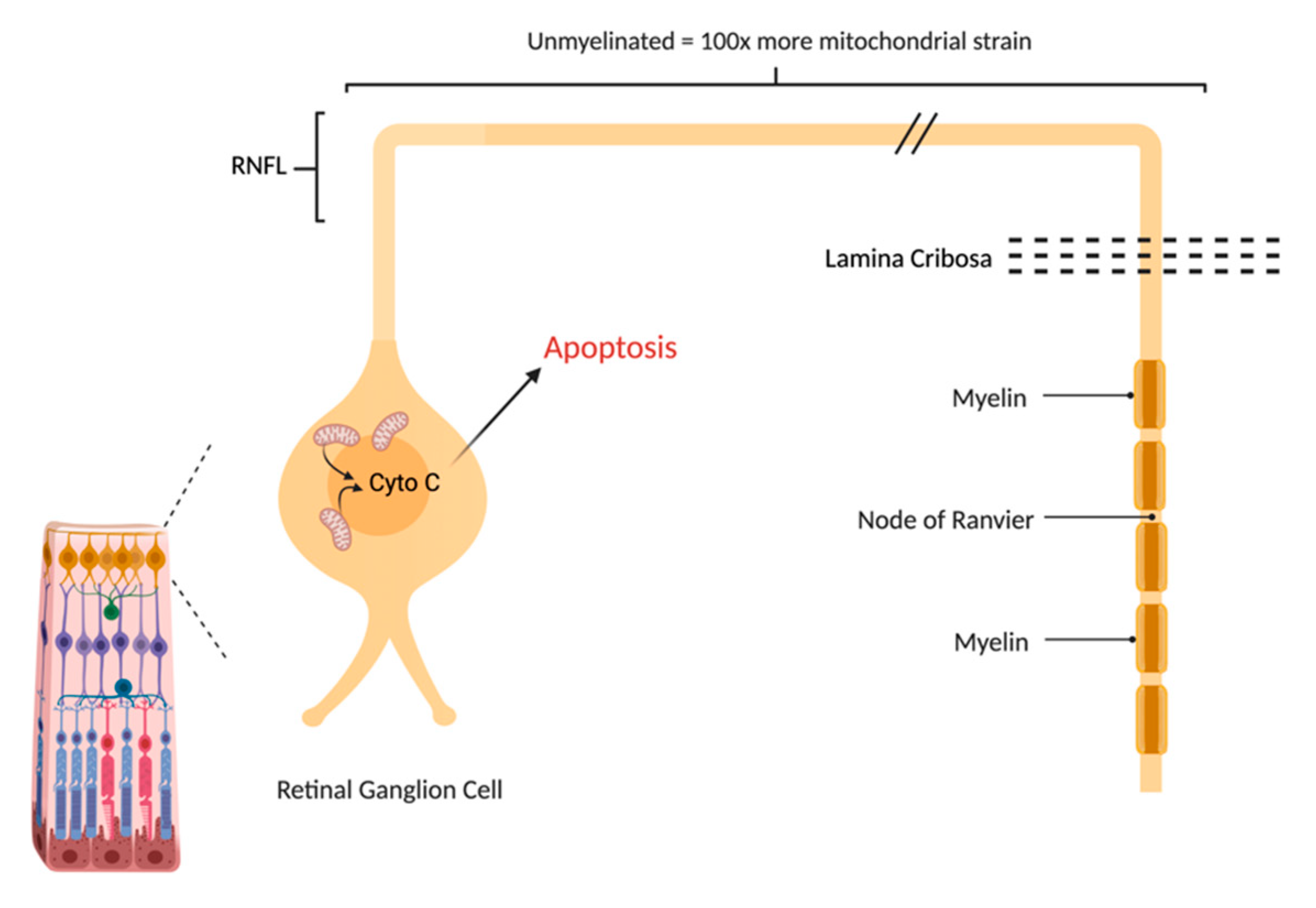 Ijms 23 13205 g002 Ijms 23 13205 g002