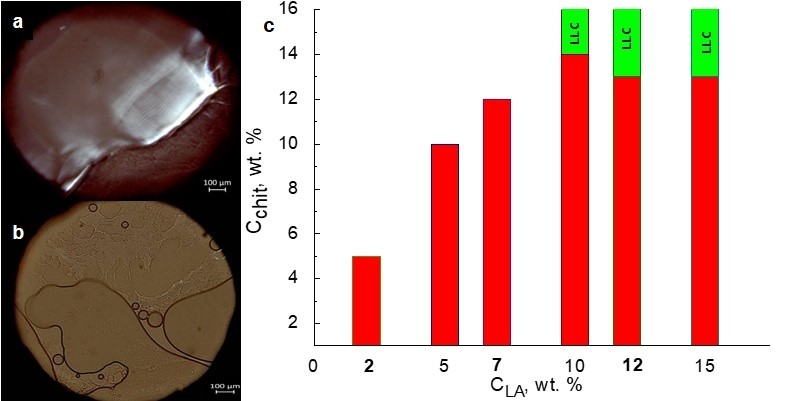 Ijms 23 13207 g001 Ijms 23 13207 g001