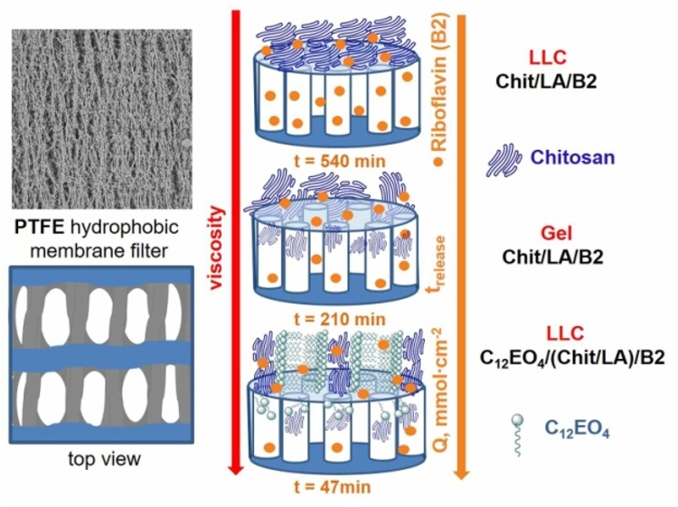 Ijms 23 13207 g007 Ijms 23 13207 g007