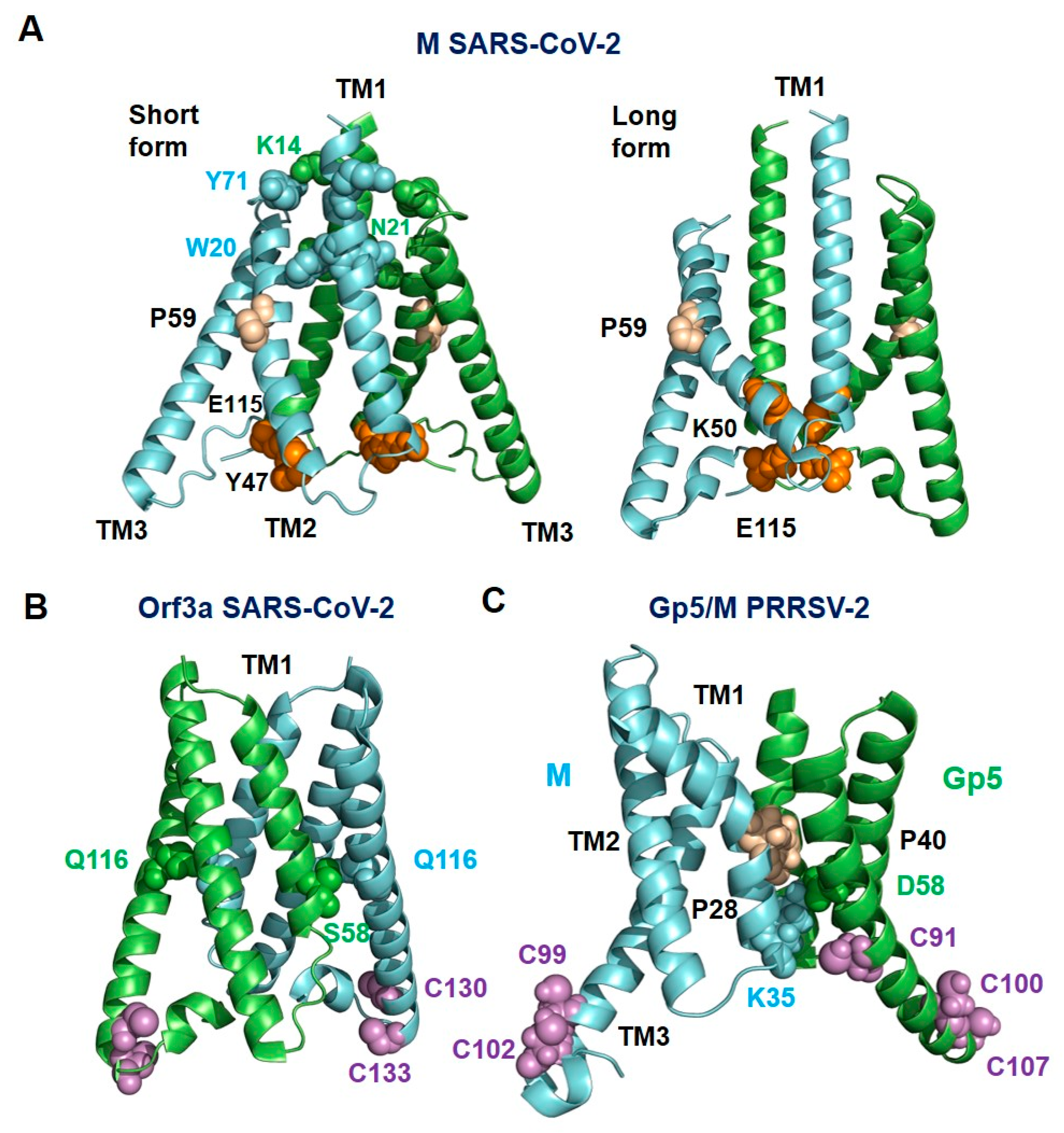 Ijms 23 13209 g008 Ijms 23 13209 g008