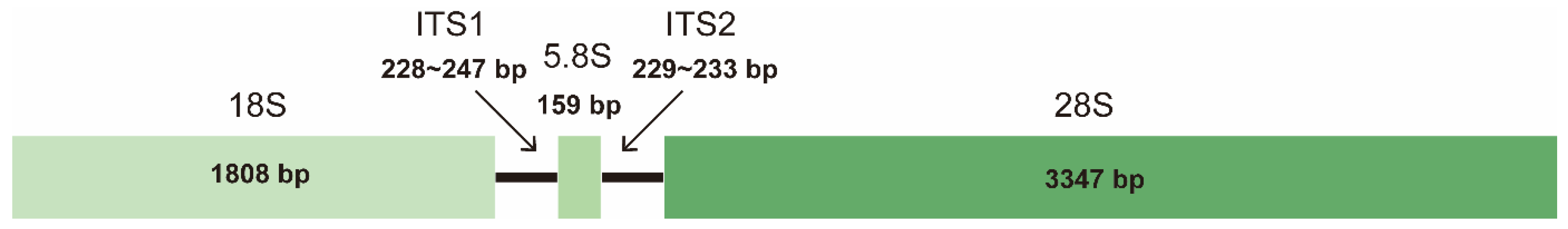 Ijms 23 13213 g001 Ijms 23 13213 g001