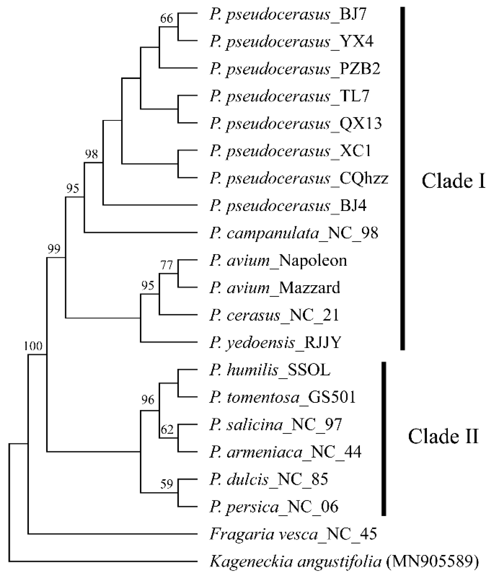 Ijms 23 13213 g002 Ijms 23 13213 g002