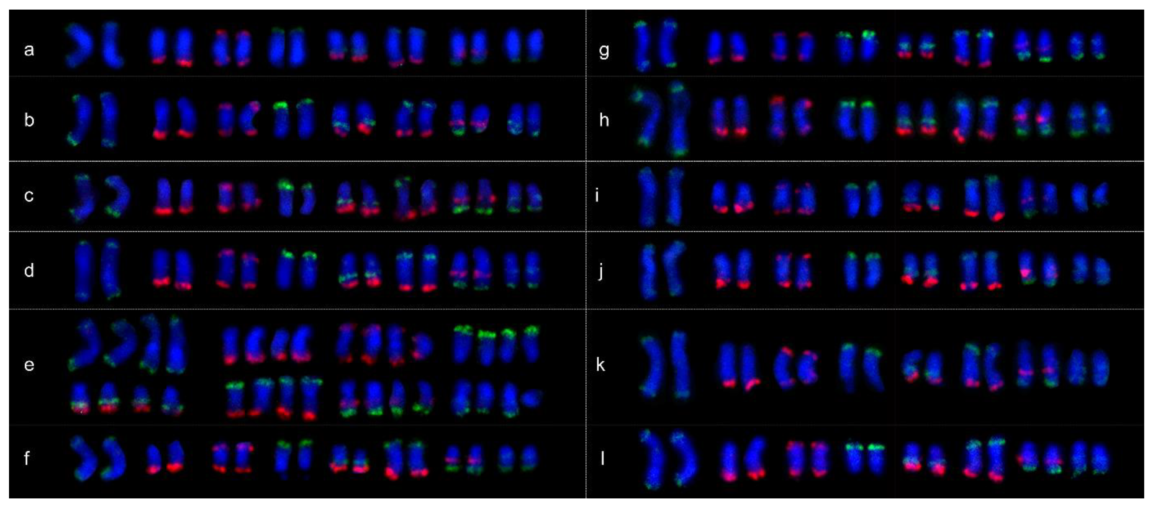 Ijms 23 13213 g005 Ijms 23 13213 g005