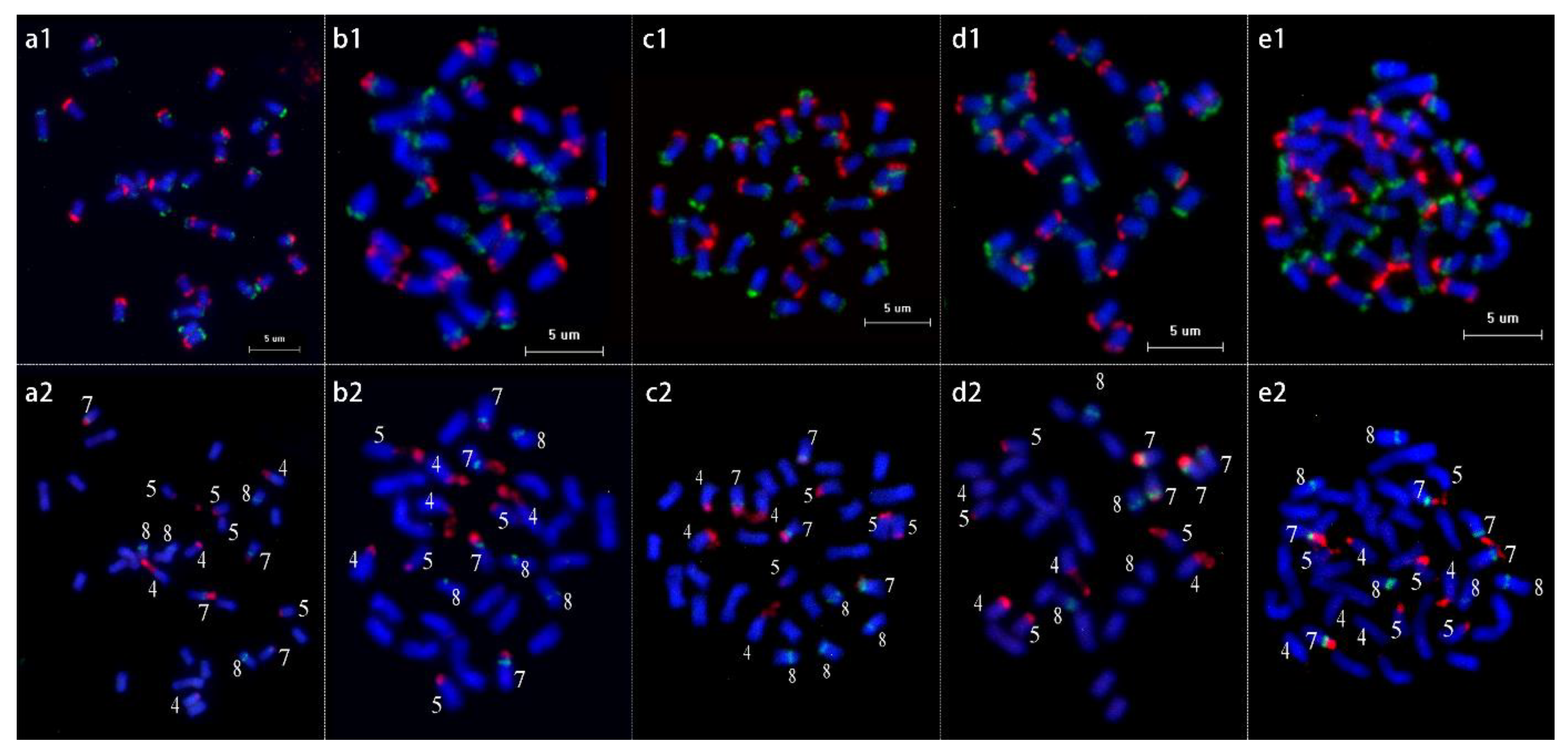 Ijms 23 13213 g006 Ijms 23 13213 g006