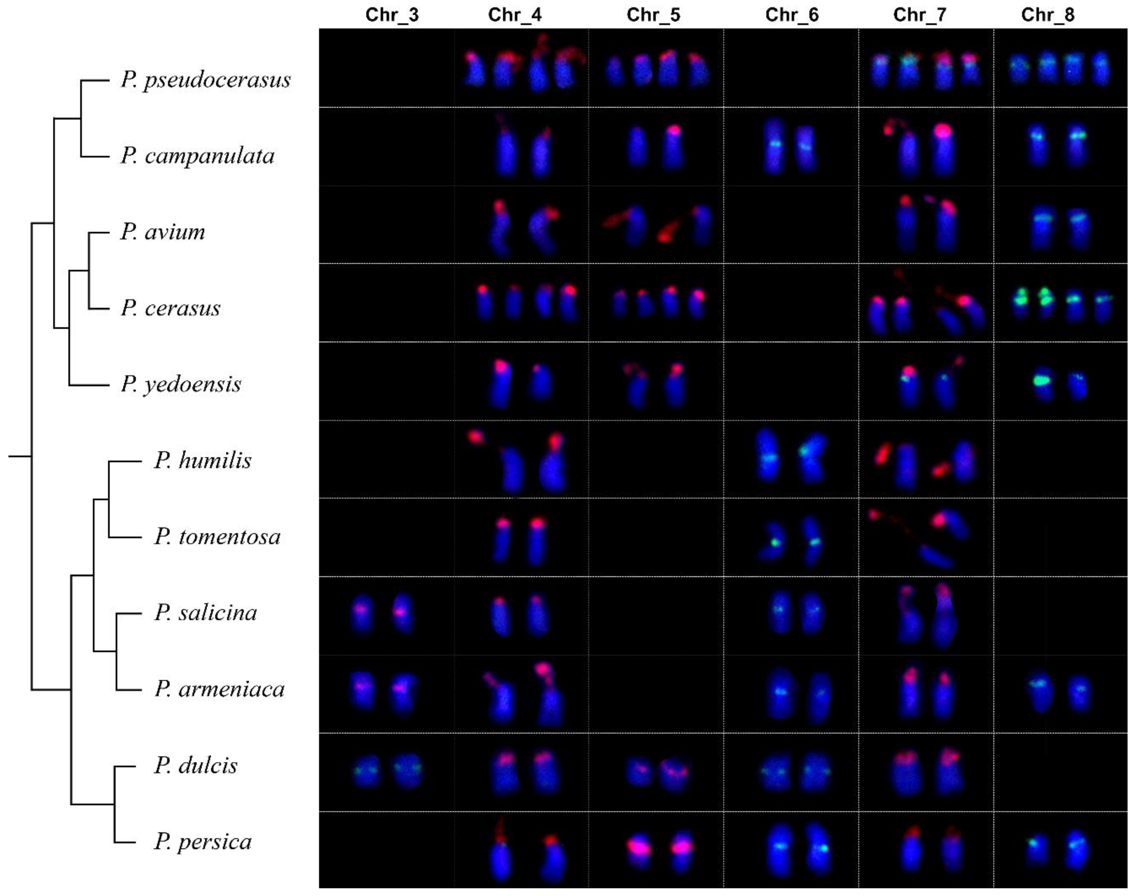 Ijms 23 13213 g007 Ijms 23 13213 g007