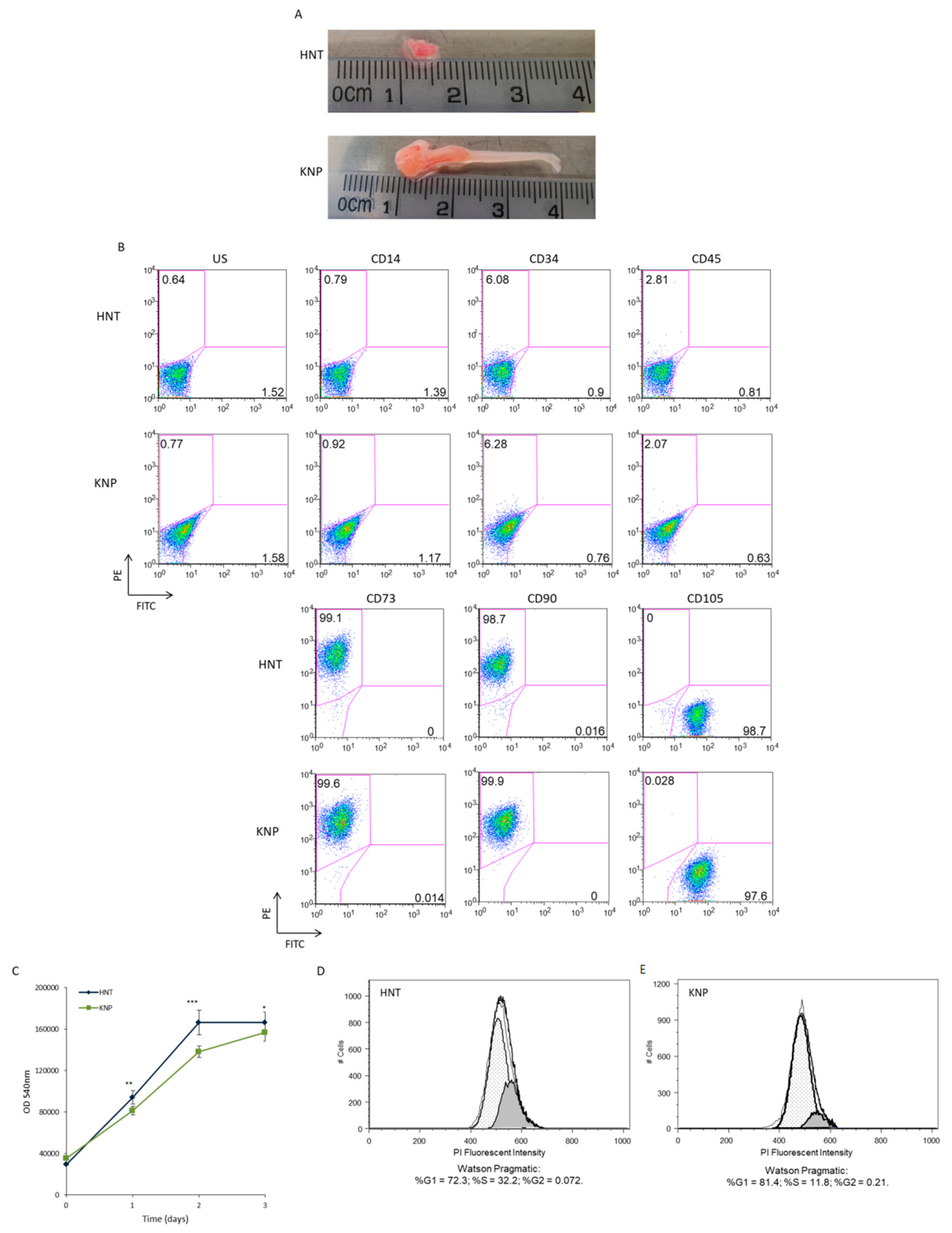 Ijms 23 13214 g001 Ijms 23 13214 g001