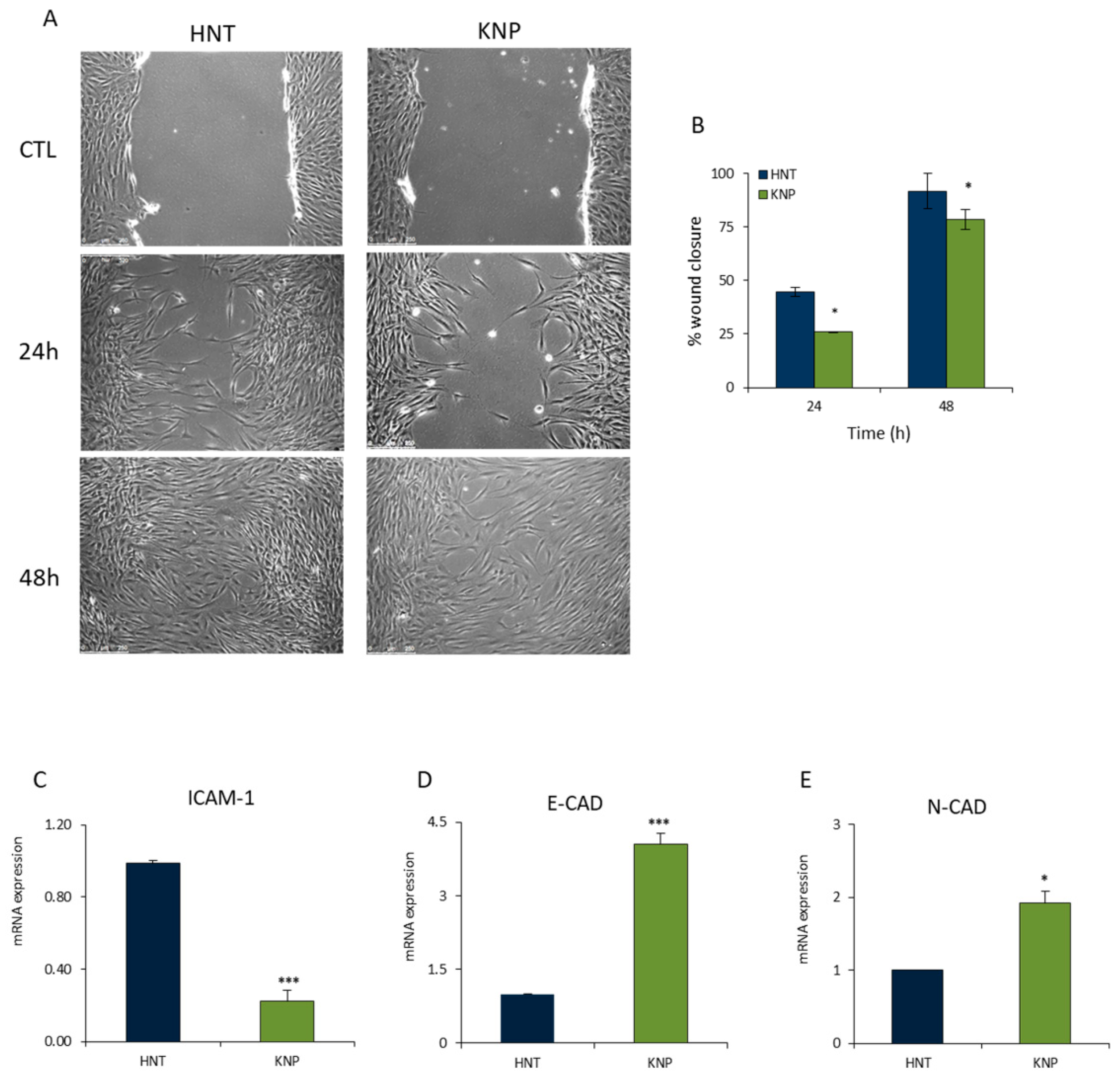 Ijms 23 13214 g002 Ijms 23 13214 g002