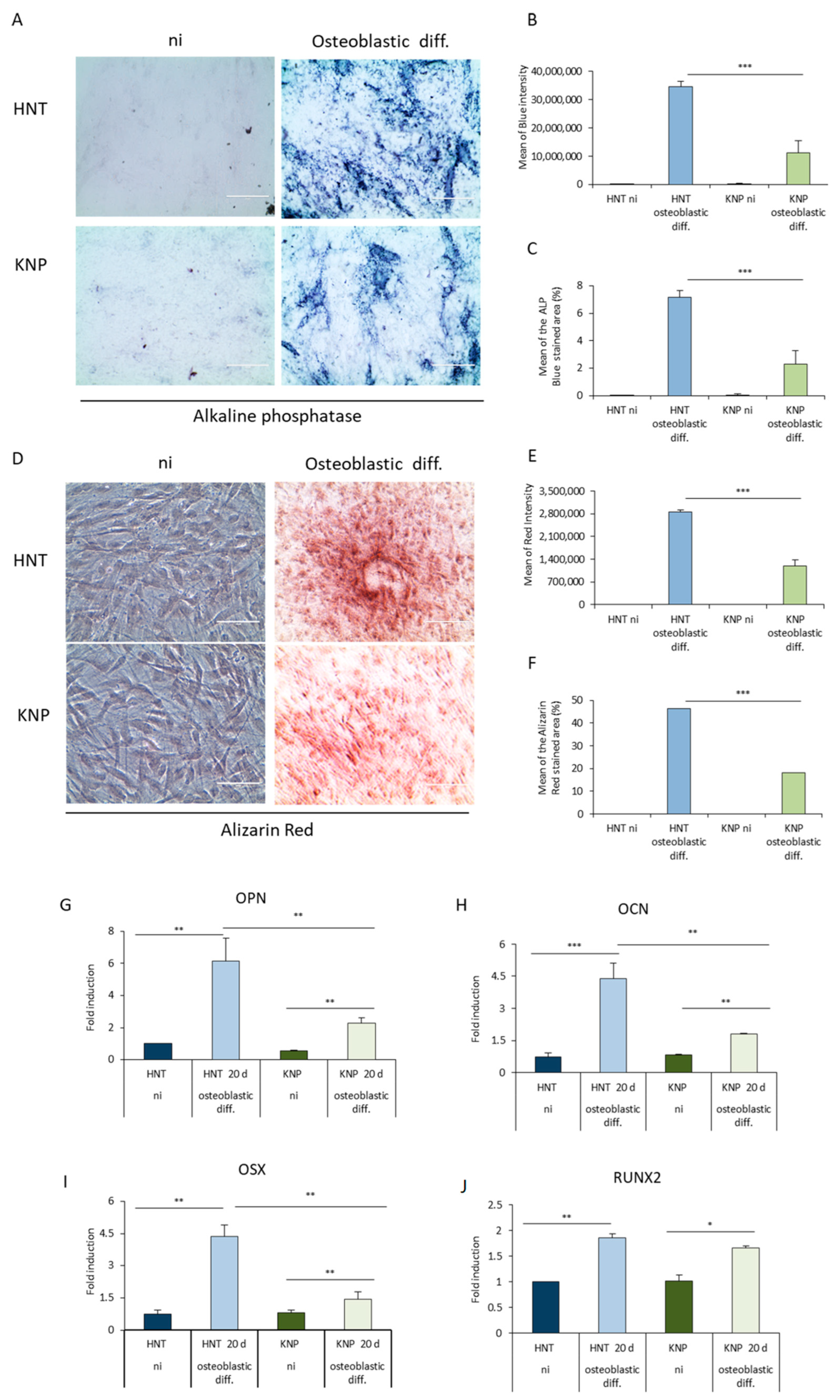 Ijms 23 13214 g003 Ijms 23 13214 g003