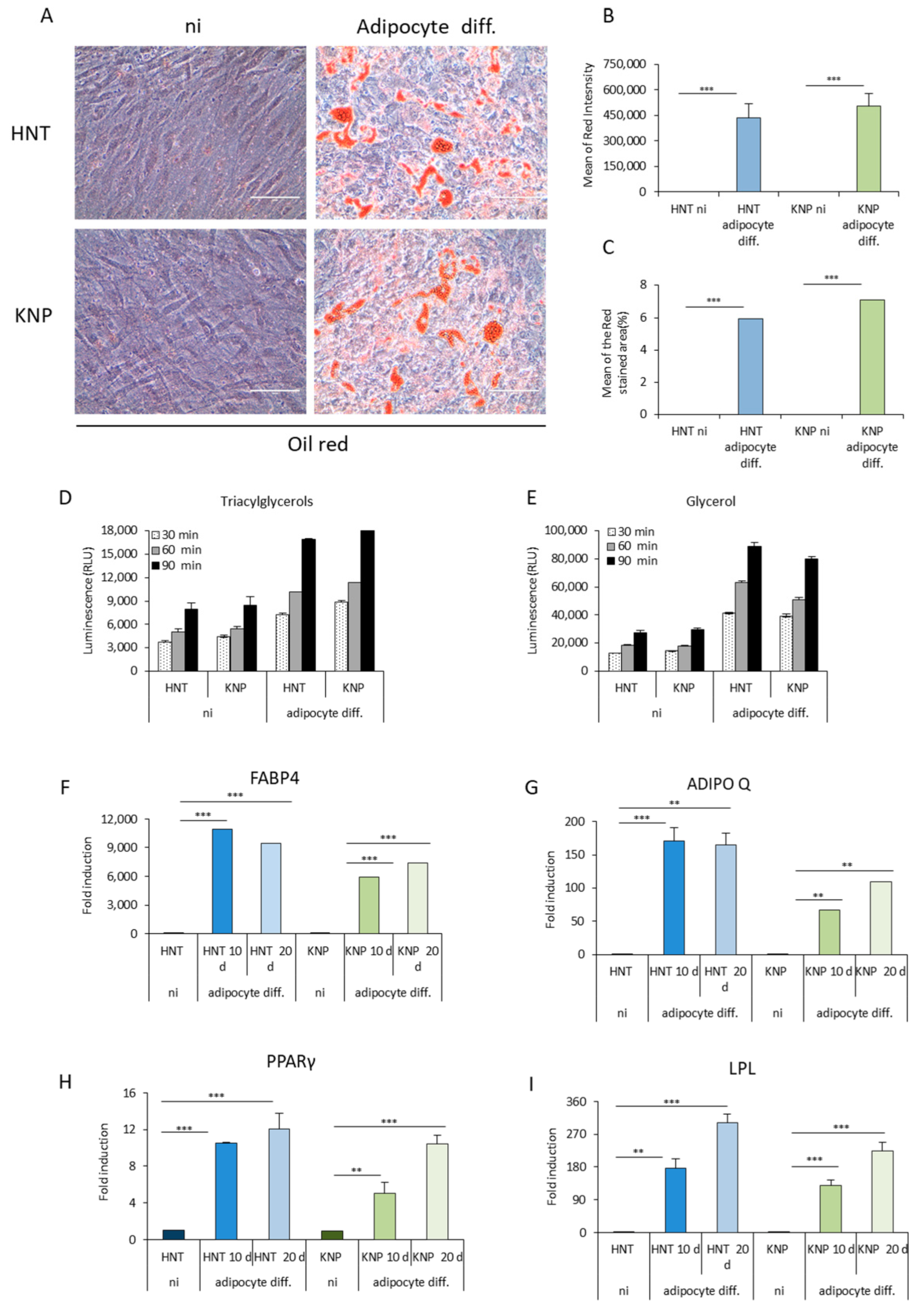 Ijms 23 13214 g004 Ijms 23 13214 g004