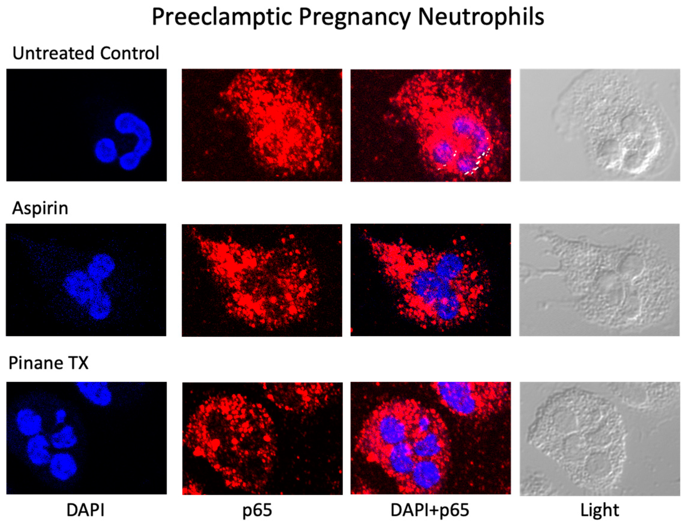 Ijms 23 13218 g004 Ijms 23 13218 g004