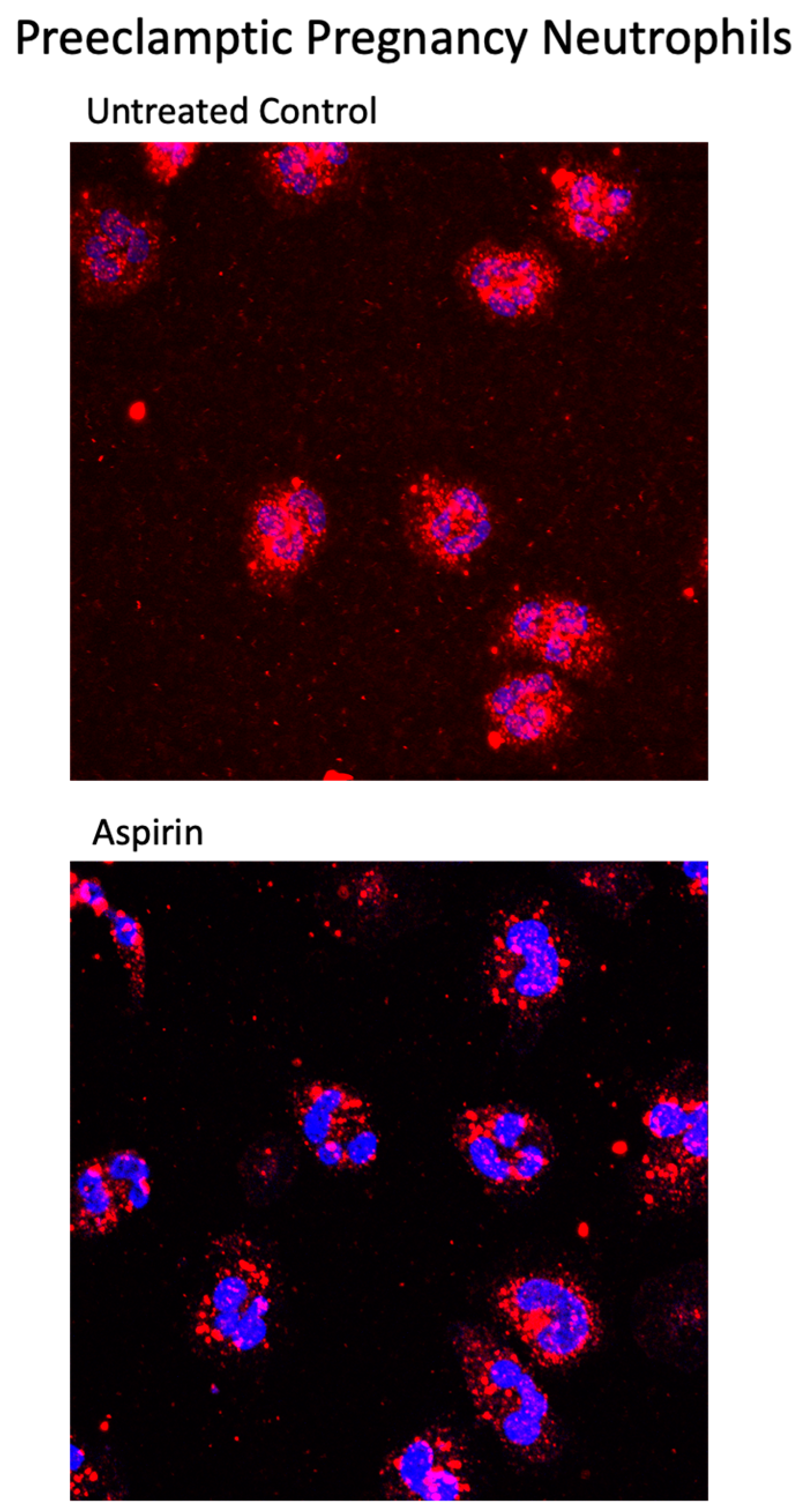 Ijms 23 13218 g005 Ijms 23 13218 g005