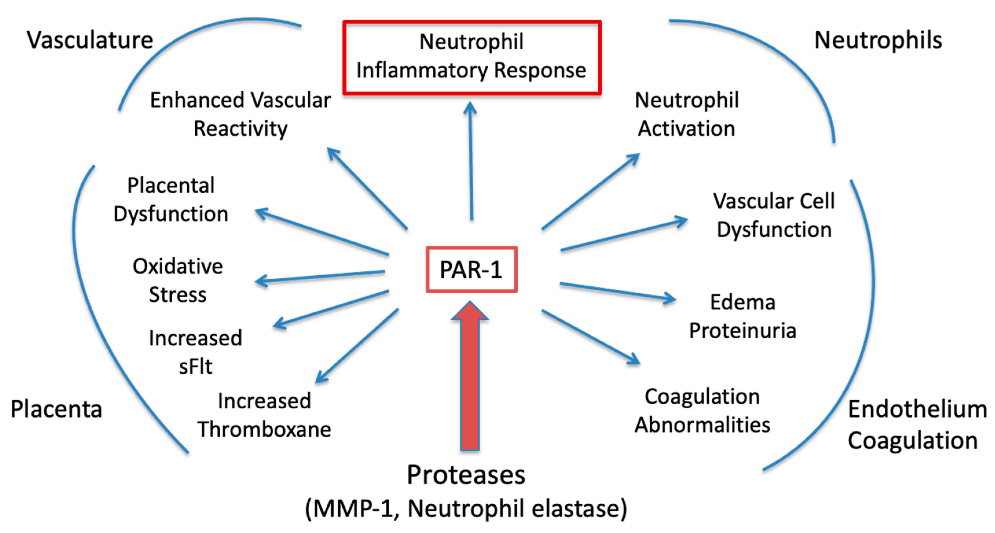 Ijms 23 13218 g0a2 Ijms 23 13218 g0a2