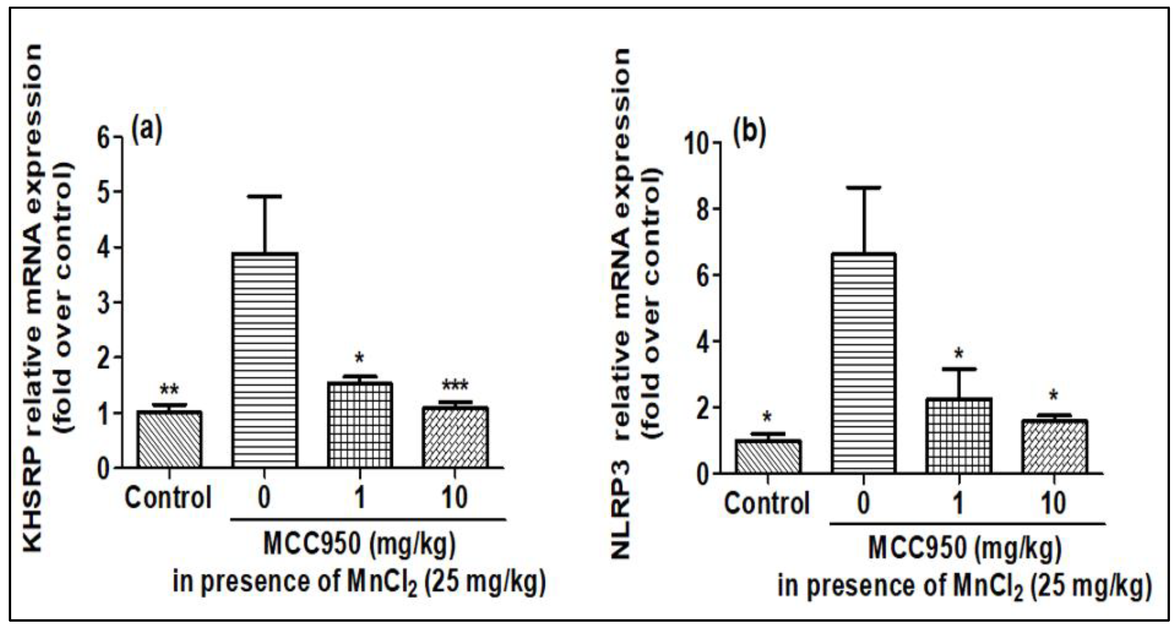 Ijms 23 13224 g008 Ijms 23 13224 g008