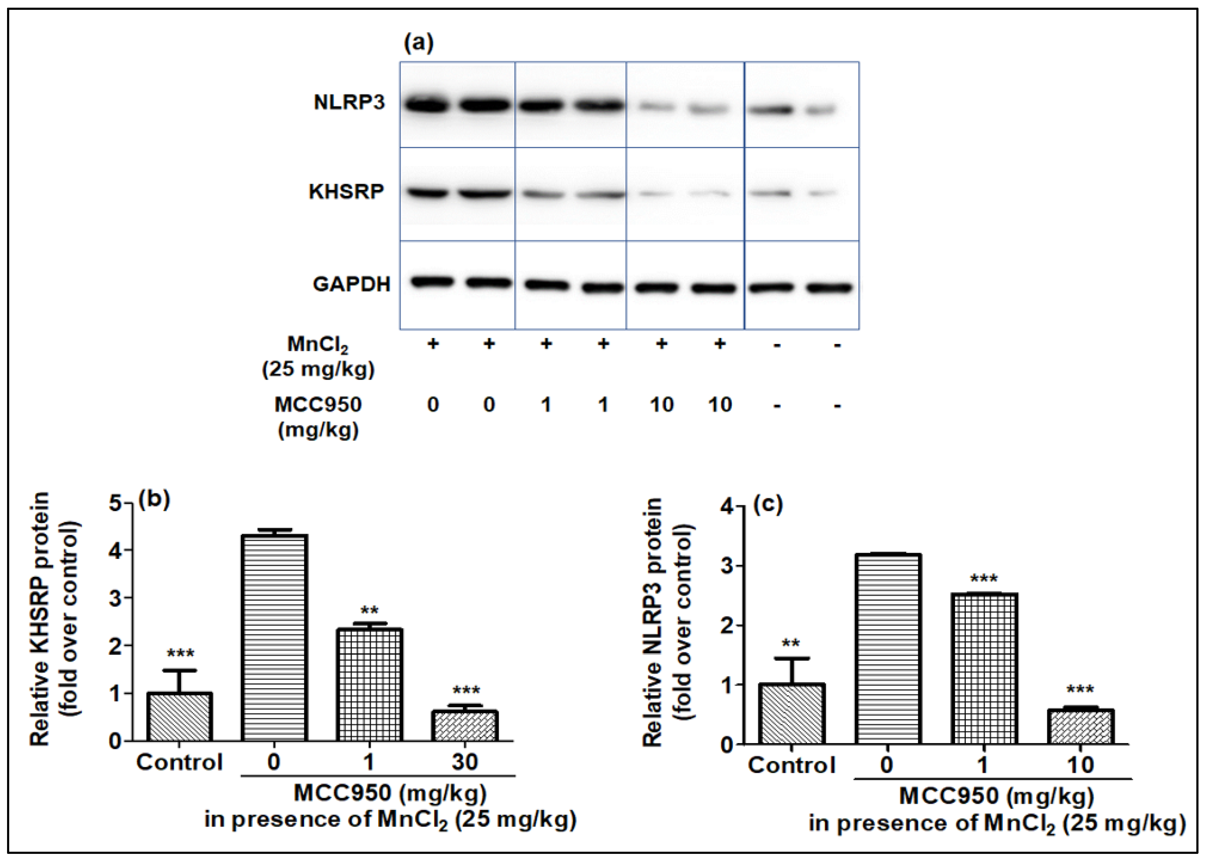 Ijms 23 13224 g009 Ijms 23 13224 g009