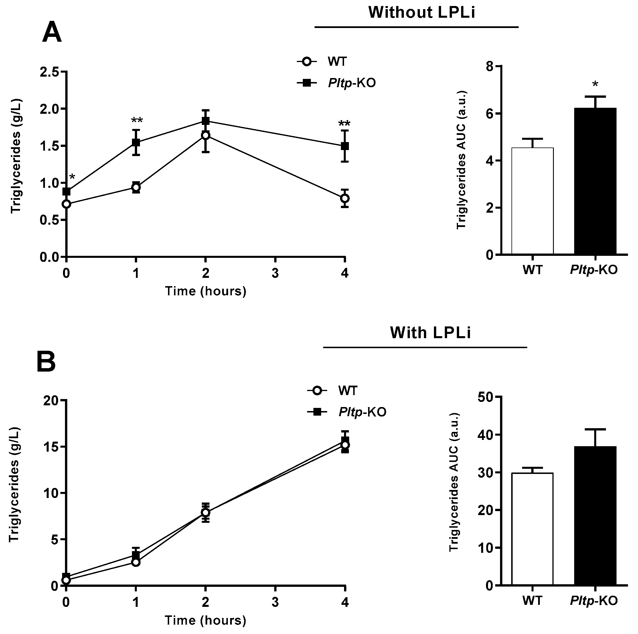 Ijms 23 13226 g004 Ijms 23 13226 g004